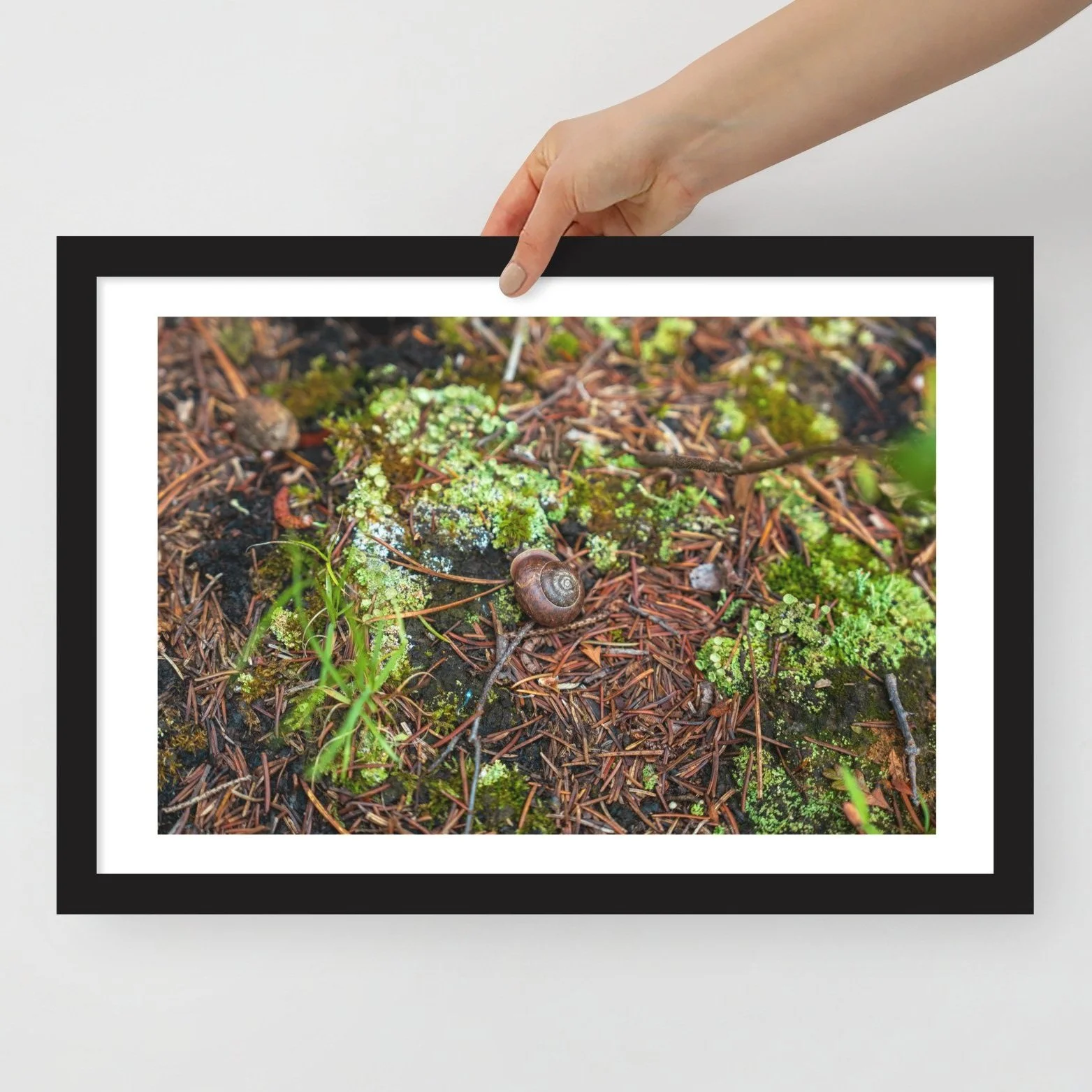 enhanced-matte-paper-framed-poster-%28in%29-black-12x18-front-66227a2ab767d.jpg