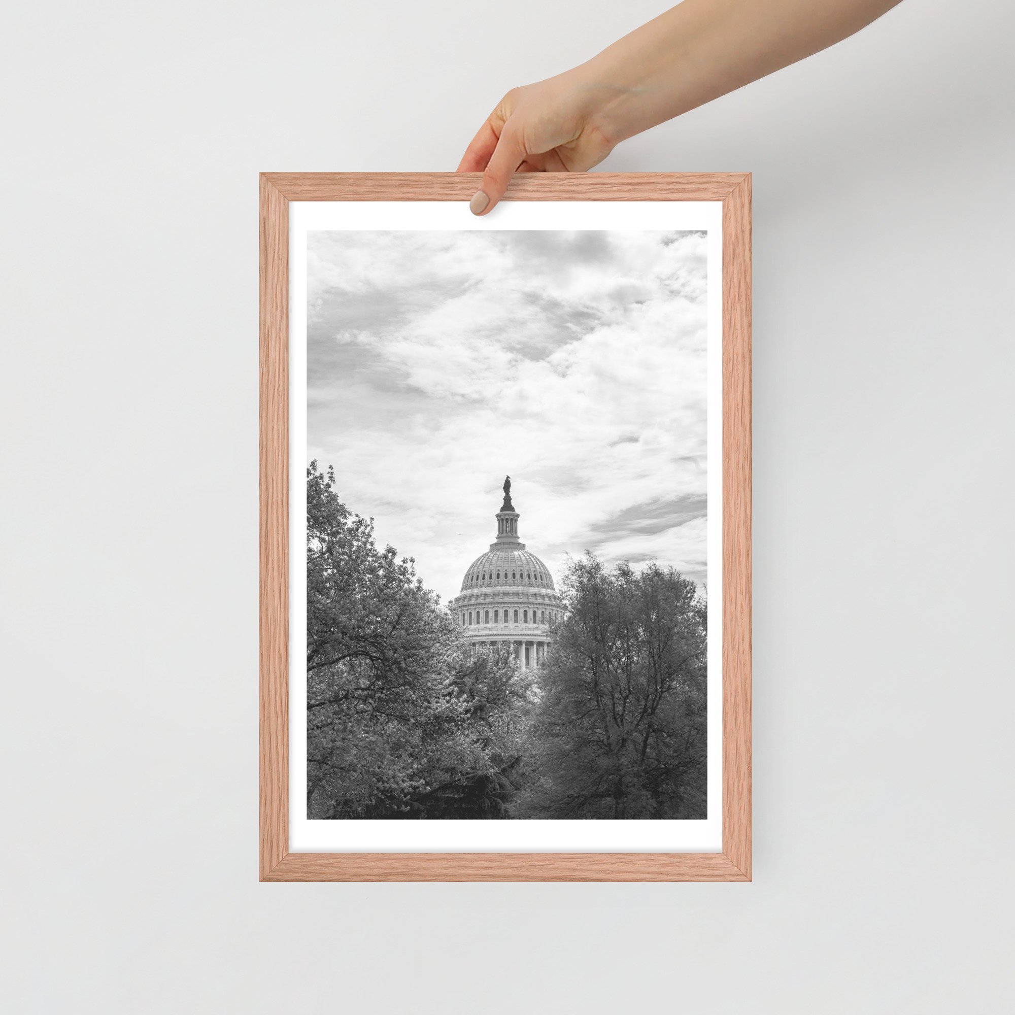 enhanced-matte-paper-framed-poster-(in)-red-oak-12x18-front-66392418b8ce5.jpg