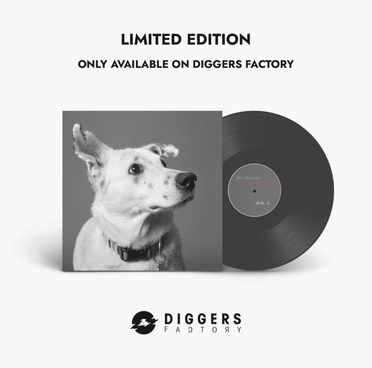 I Can't Stop Trying Limited Edition Vinyl