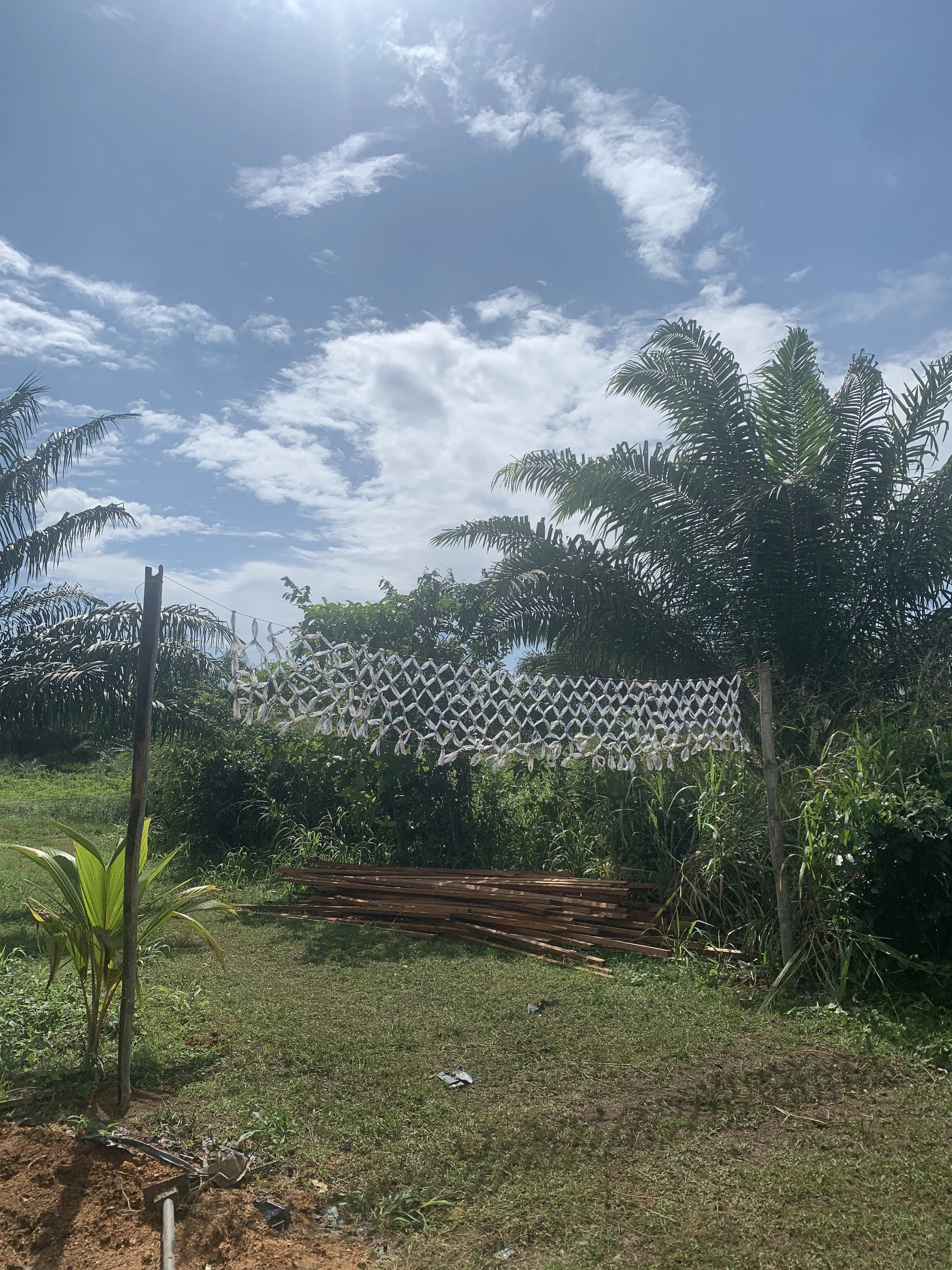IMG_5288.JPEG