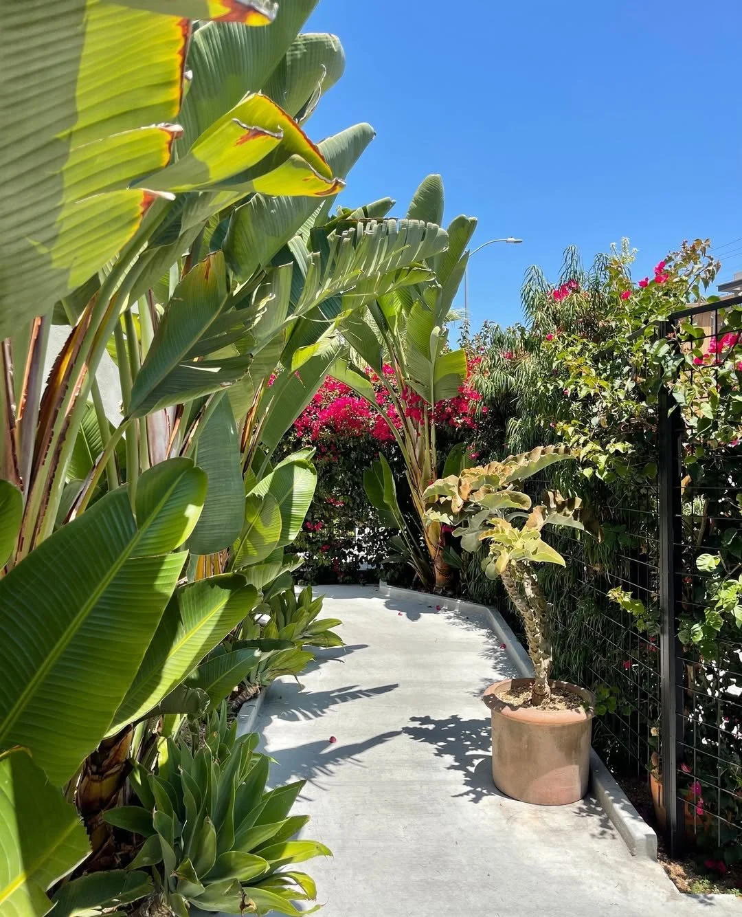 This way ⬆️ to deliciousness! Don't forget to enjoy our @dinela specials from now until February 6th. Our favorites? Cucumber Salad, Paccheri Alla Vodka, Squash Risotto, Marco Polo Burger, Olive Oil Cake... You know what, they're all great!