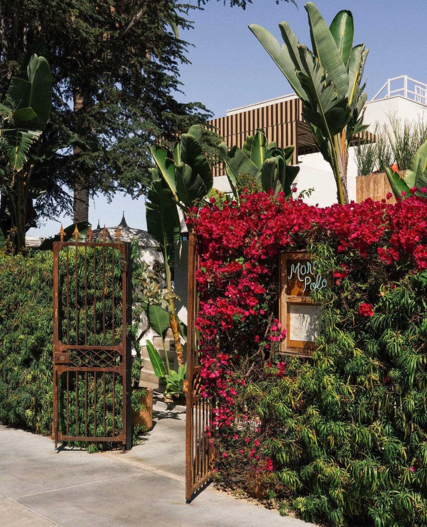 This way to paradise ↖️