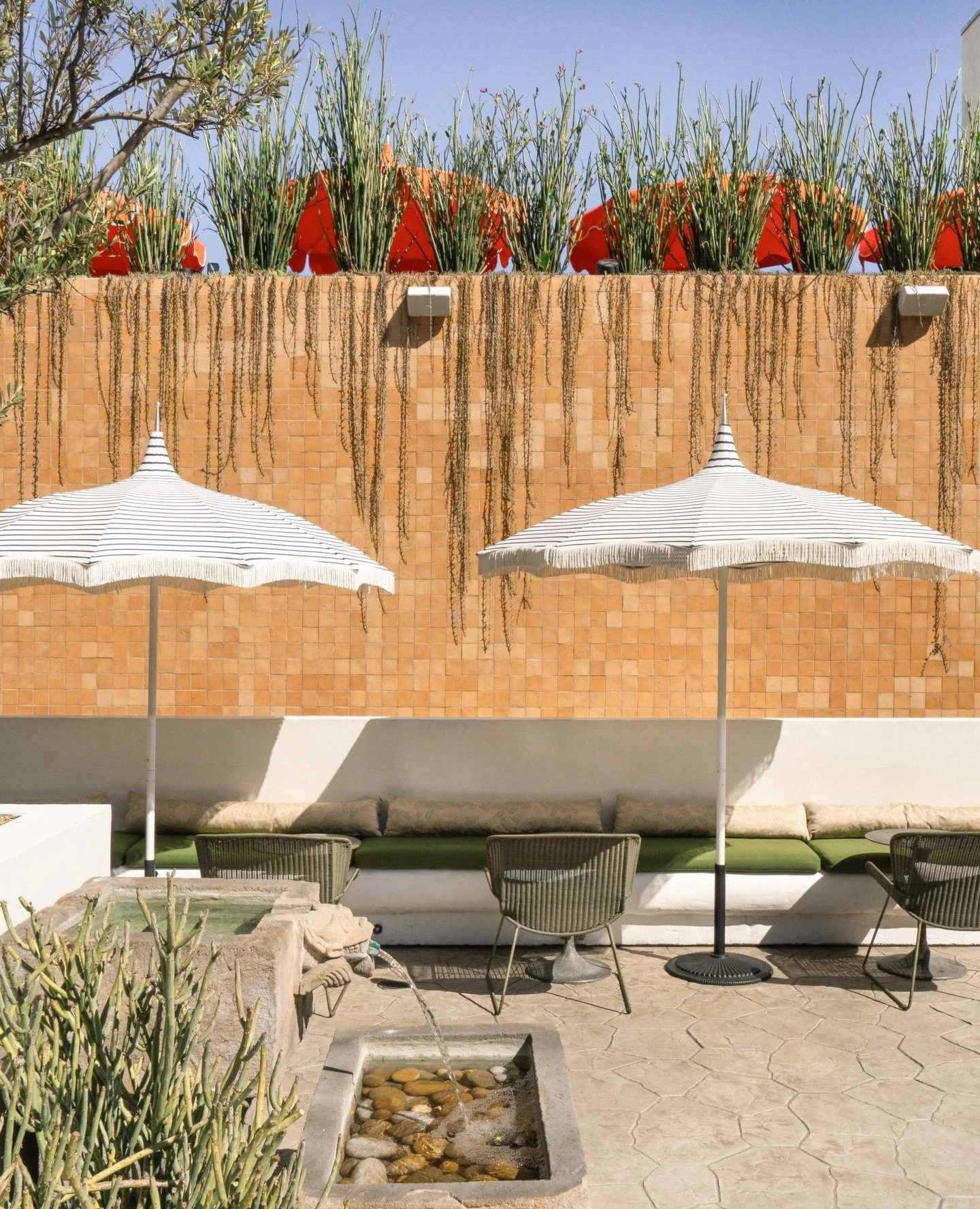 Sunshine on the patio 🌞⁠