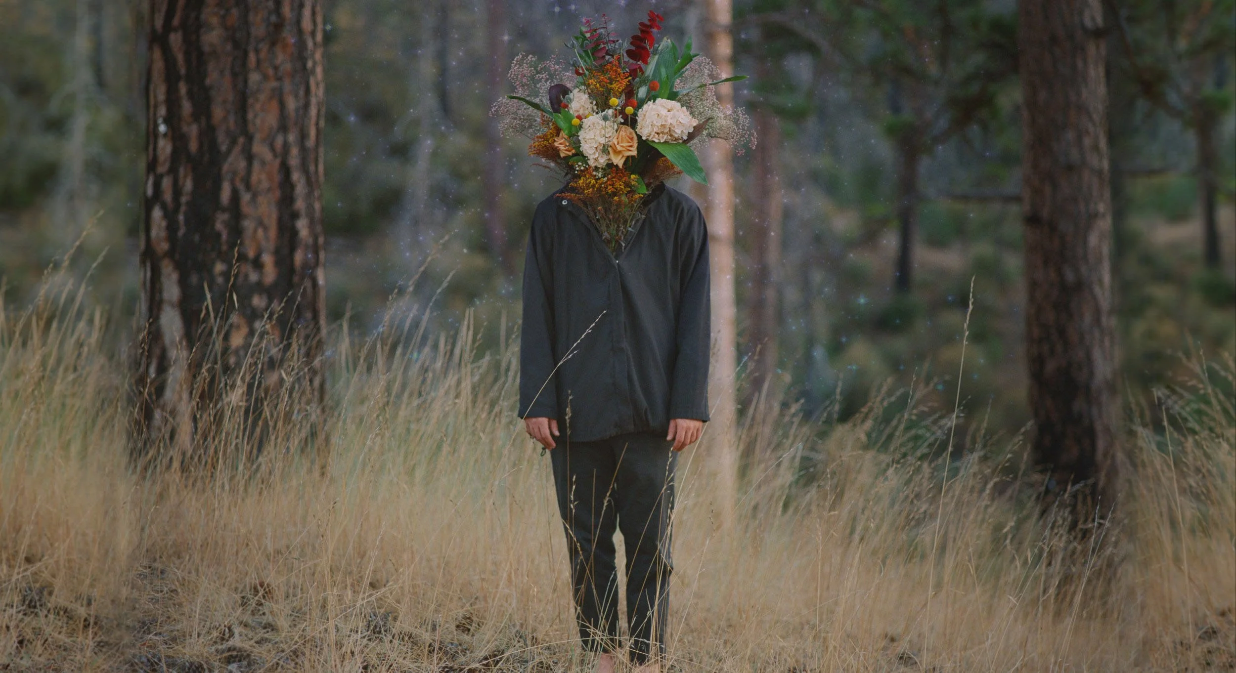Copy of dream-tape-cover.jpg