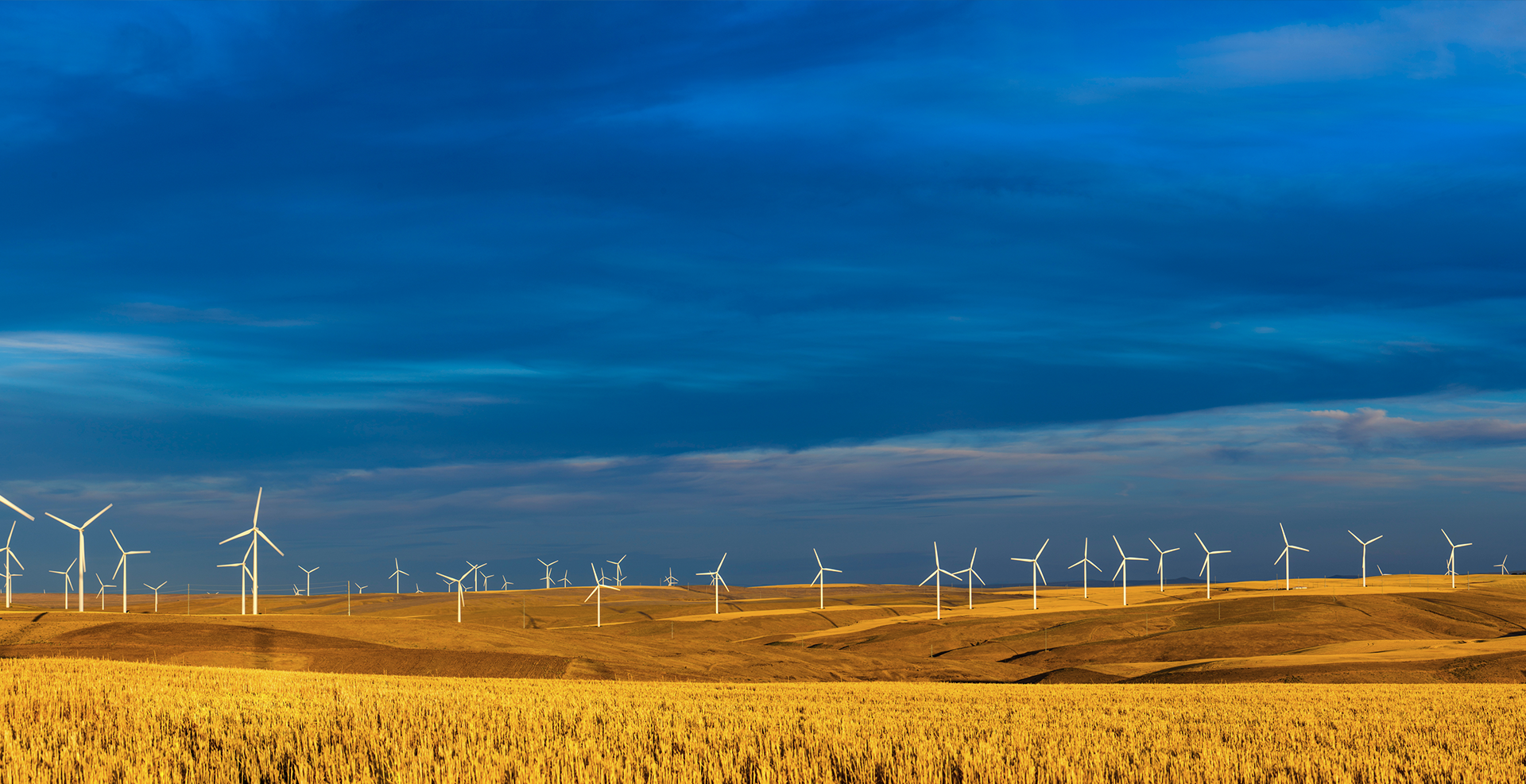 Row of Wind Turbines