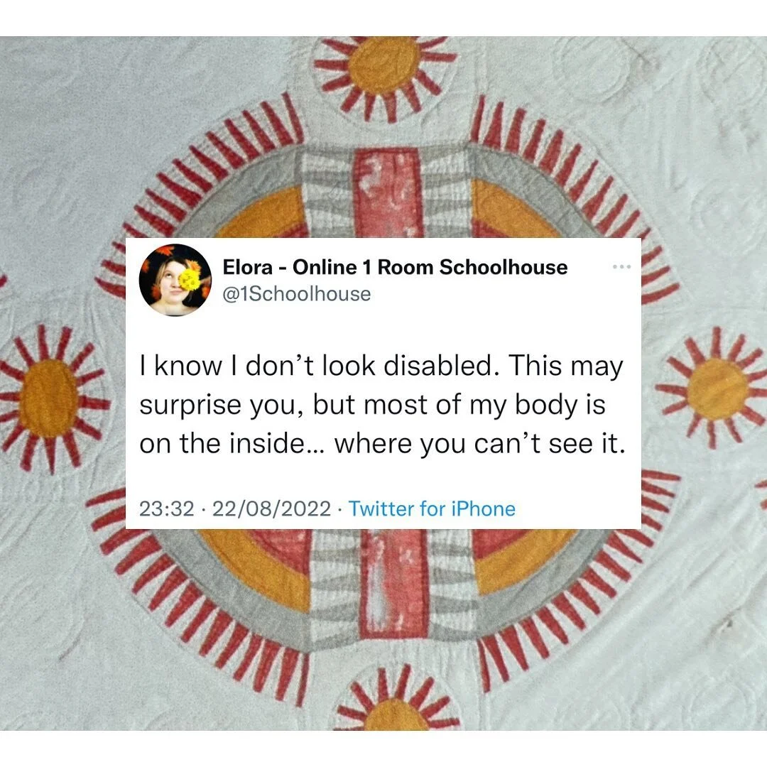 Tweet by @/1Schoolhouse
&ldquo;I know I don't look disabled. This may
surprise you, but most of my body is
on the inside&hellip; where you can't see it.&rdquo;

I put the screenshot of the tweet over a photo of my current favourite quilt design #NewY