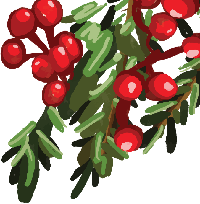 Close-up view of red berries with green leaves and stems, possibly holly or similar plant.