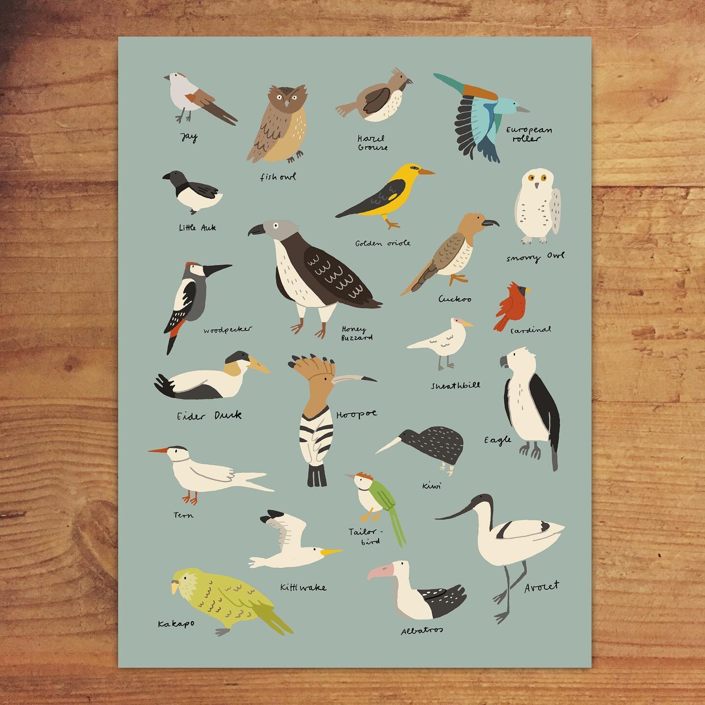 Here are some little birds for you all! 
I also thought that I should let you know that ALL of our prints are currently 40% off. More in stories and link in profile! 👋

#presentsforornithologists
#birds #v&ouml;gel #illustration #cybermonday #birdpr