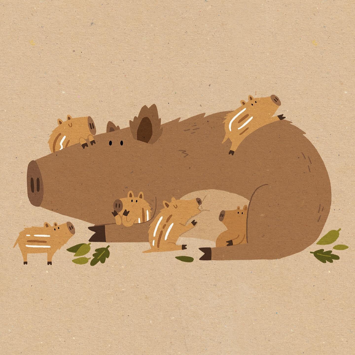 Here is the wild boar mama from my new book and all her piglets. Wild boar moms make little nests for their babies and then they all hang out in there for about 2 weeks. 🐗❤️