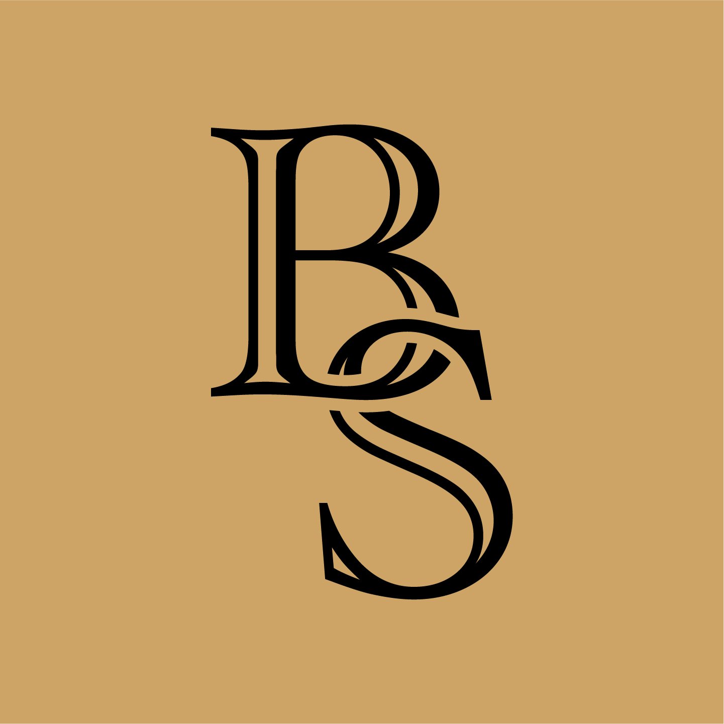 BS Icon 3@4x-100.jpg