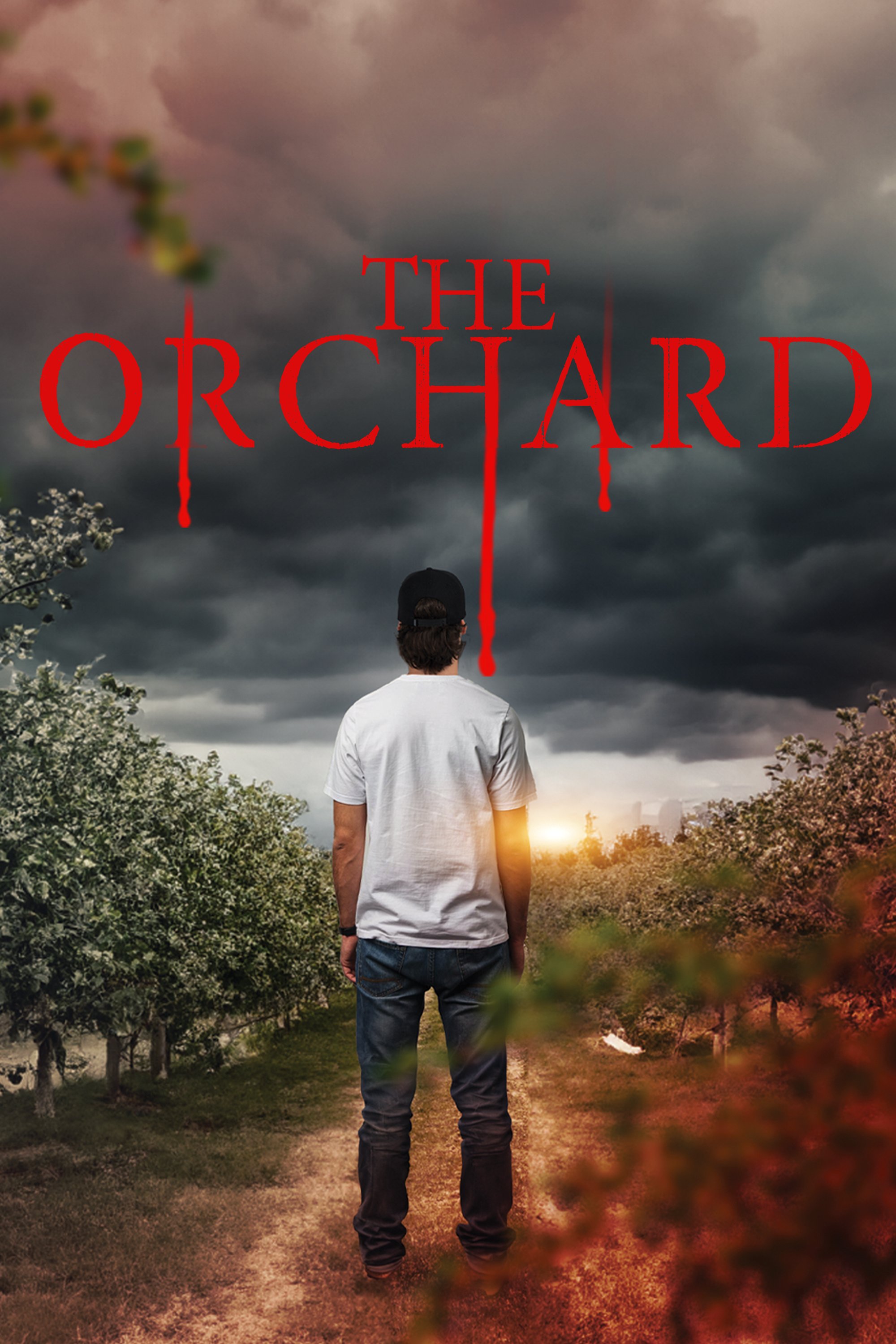 The Orchard
