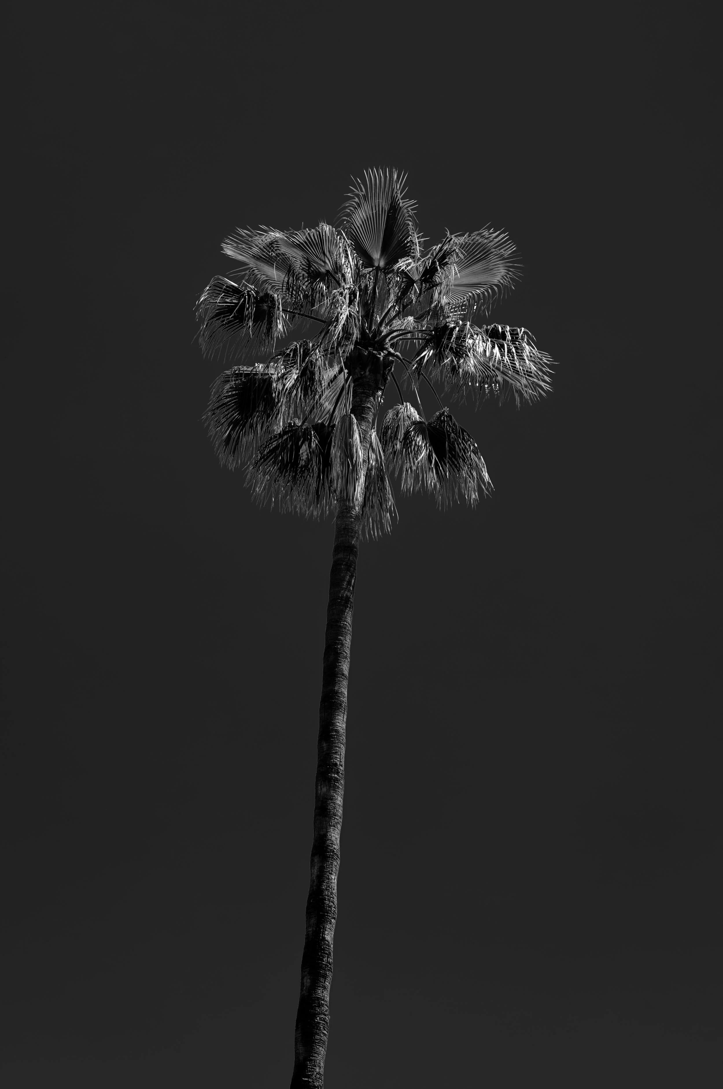 L1003331.jpg