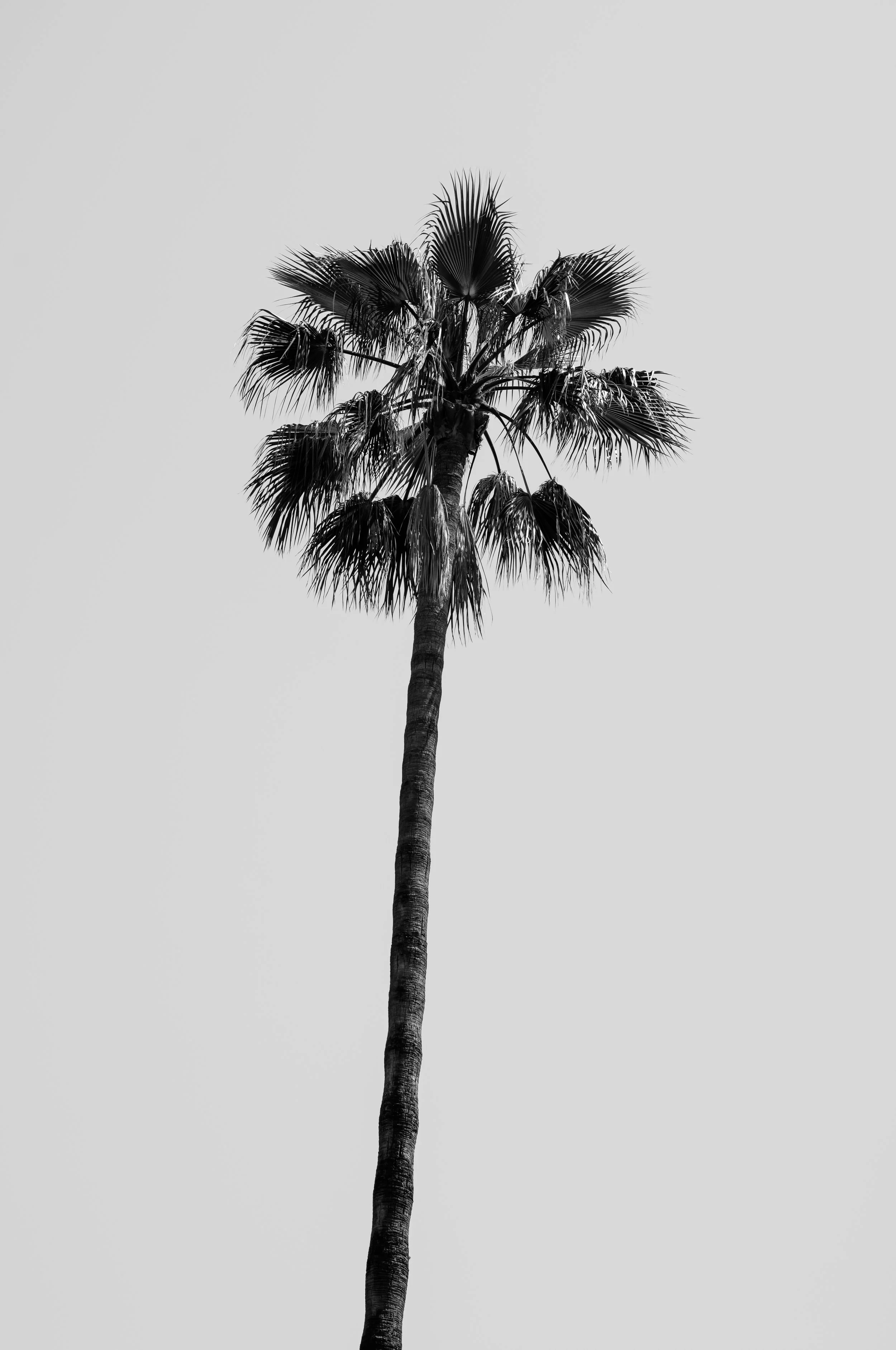 L1003332.jpg