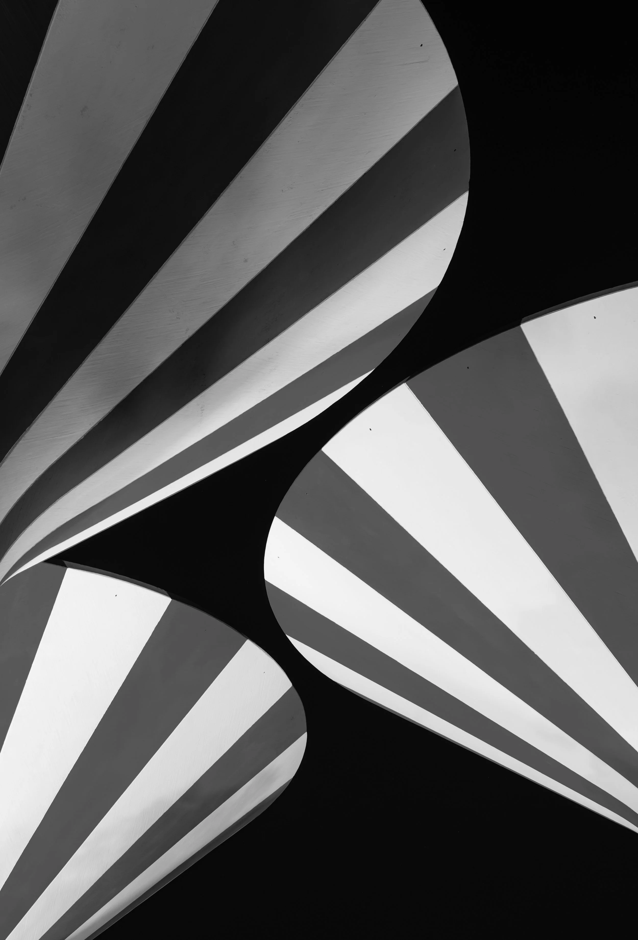L1004426.JPG