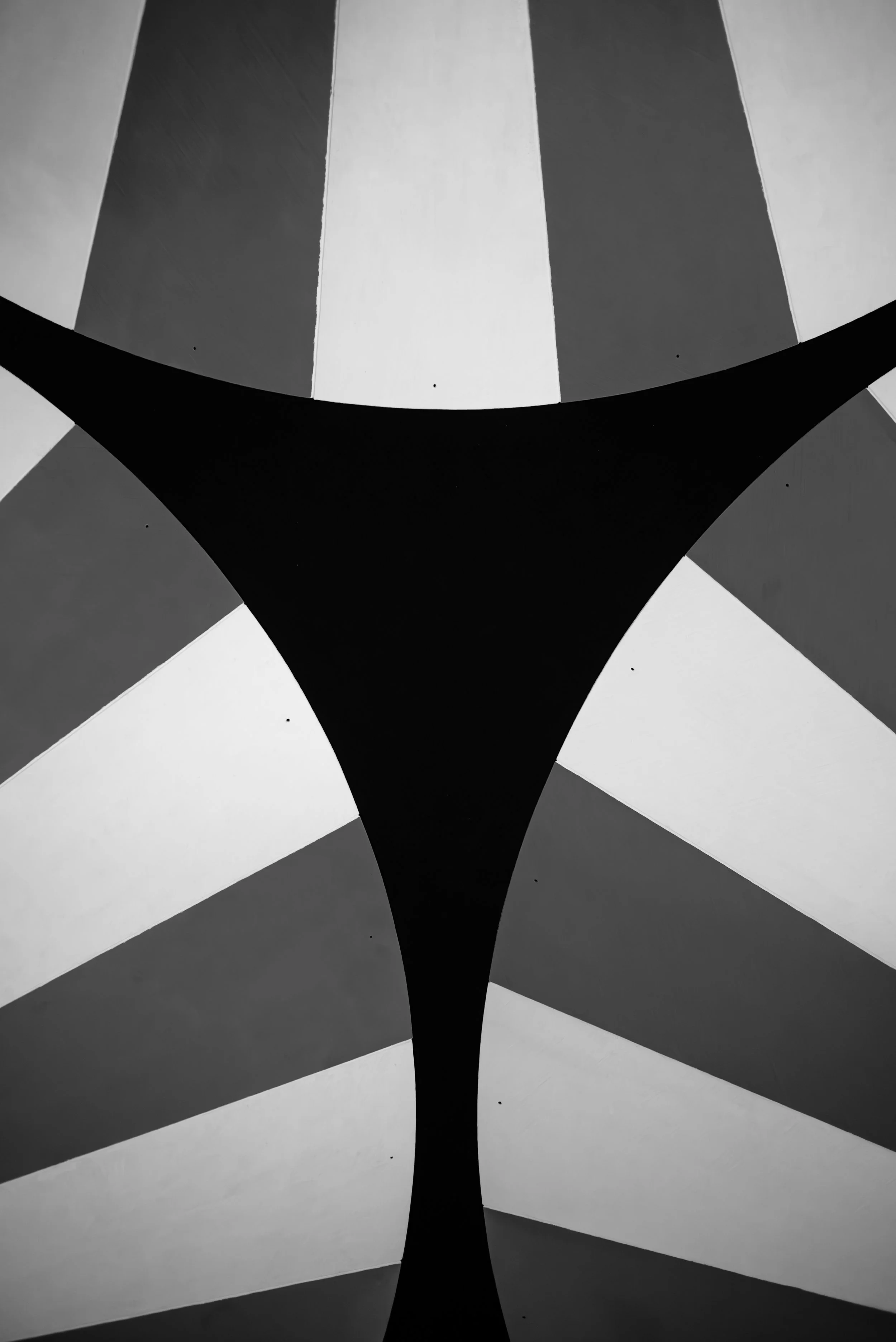 L1004051.jpg