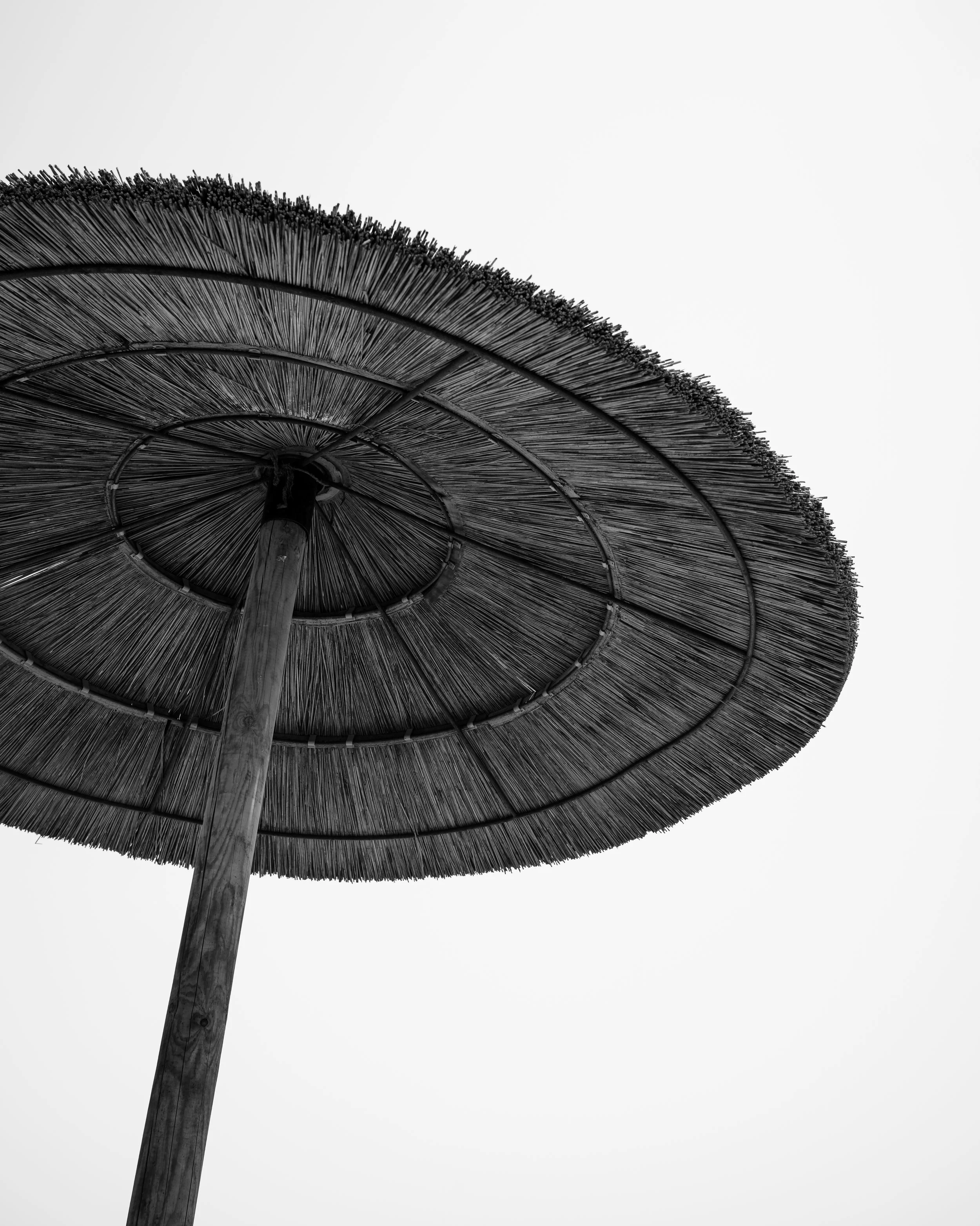 L1003483.jpg