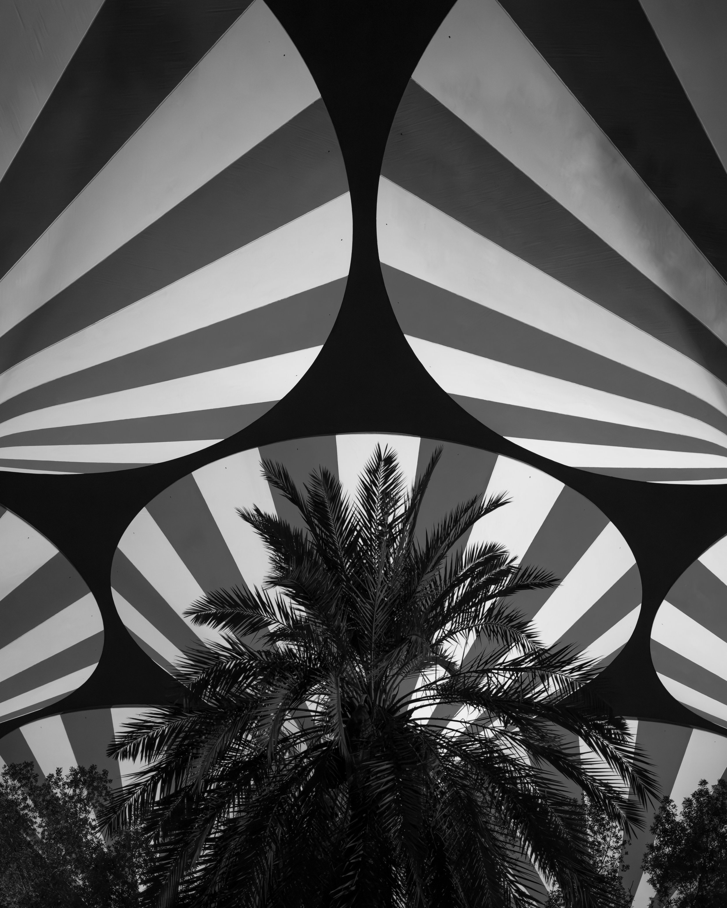 L1004191.JPG