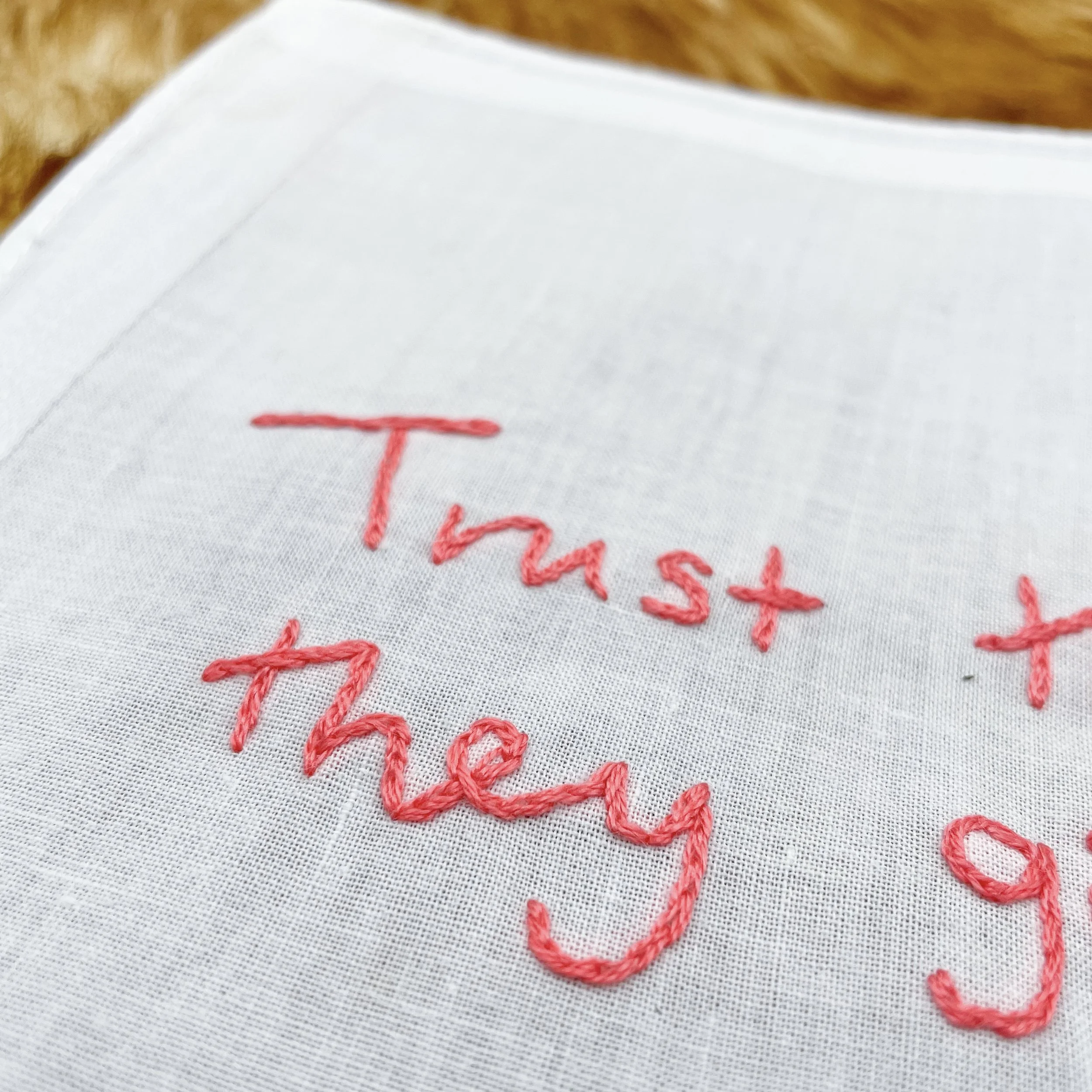 Trust the vibes 3.jpg