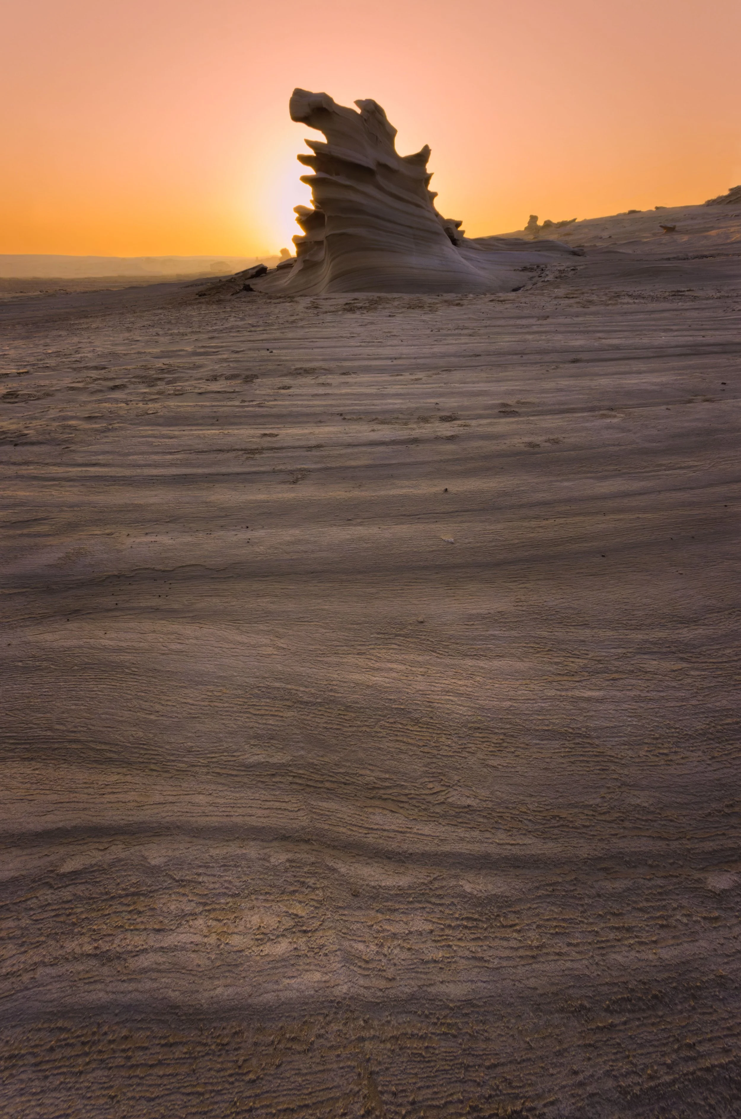 IMG_8593_DxO-Edit-2.jpg