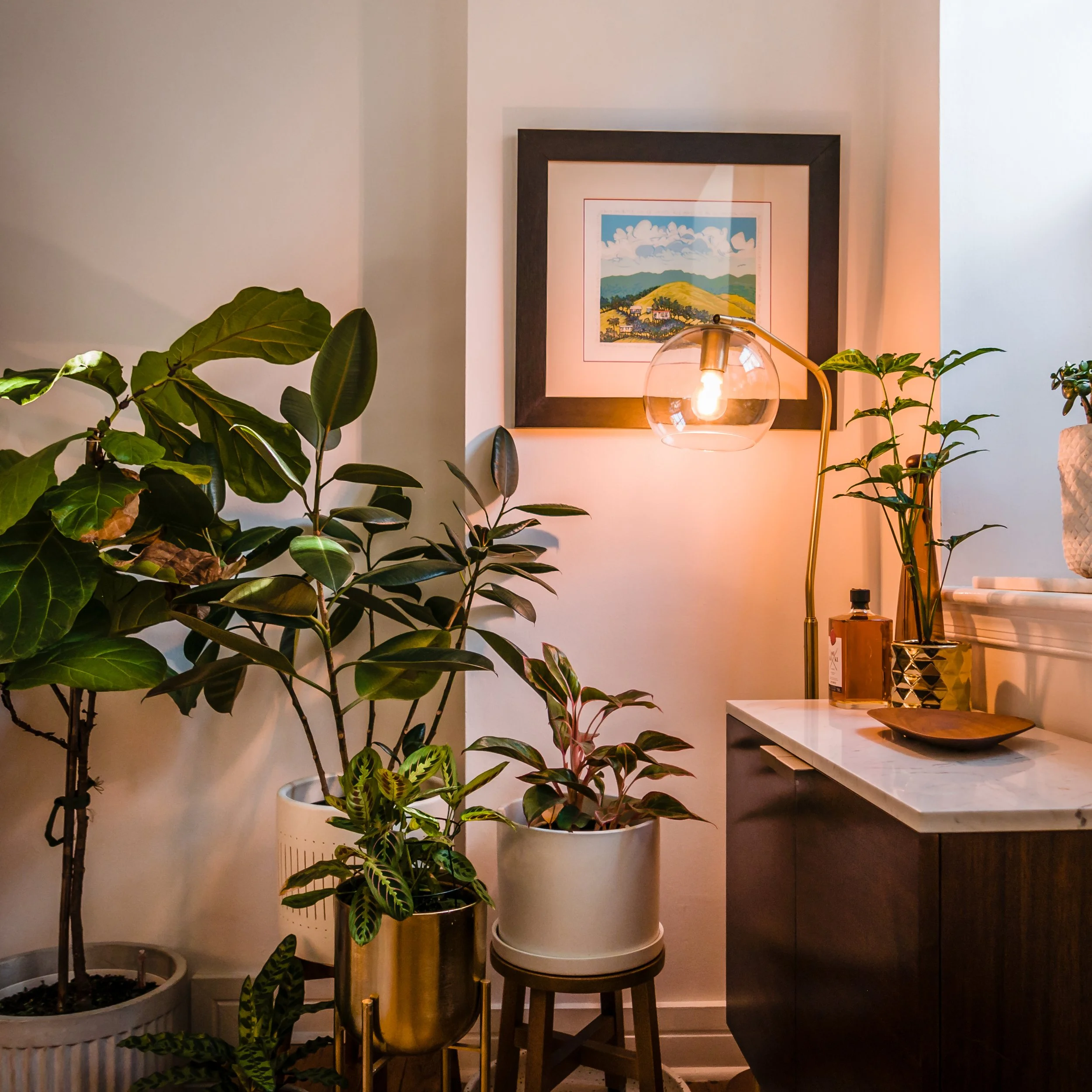 329 fitzwater fall 2019 003.jpg