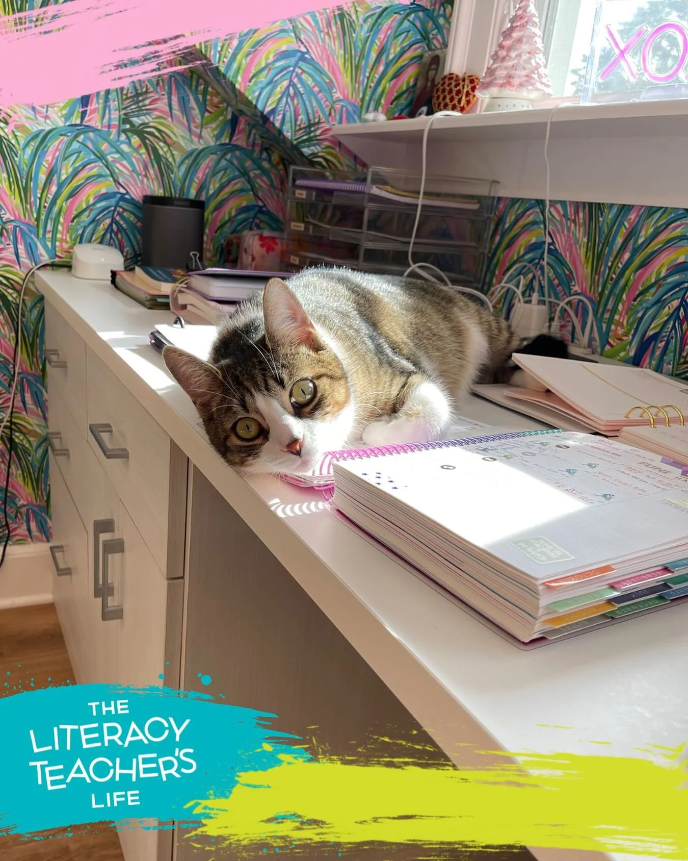 Fall temps are dropping, the to-do list keeps growing, and lesson plans aren&rsquo;t grading themselves&hellip; 🍂📚

But you know what makes long work days SO much better? My furry little &ldquo;assistant&rdquo; who&rsquo;s always ready to supervise
