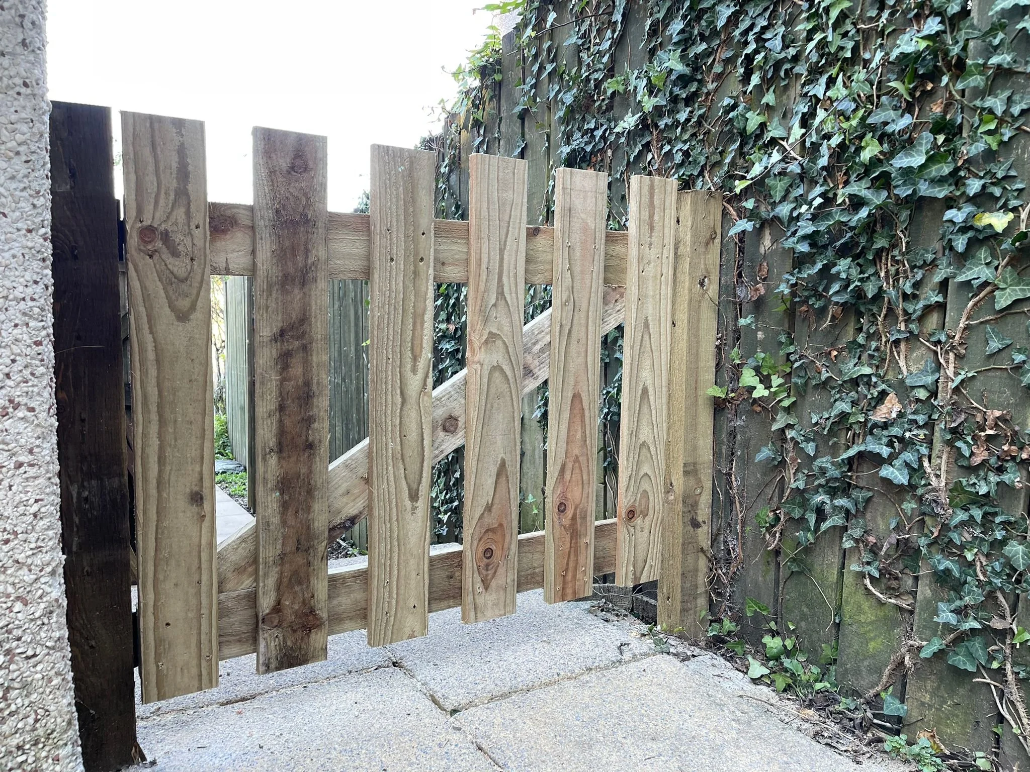 WhatsApp Image 2021-11-23 at 11.03.40 PM (1).jpeg