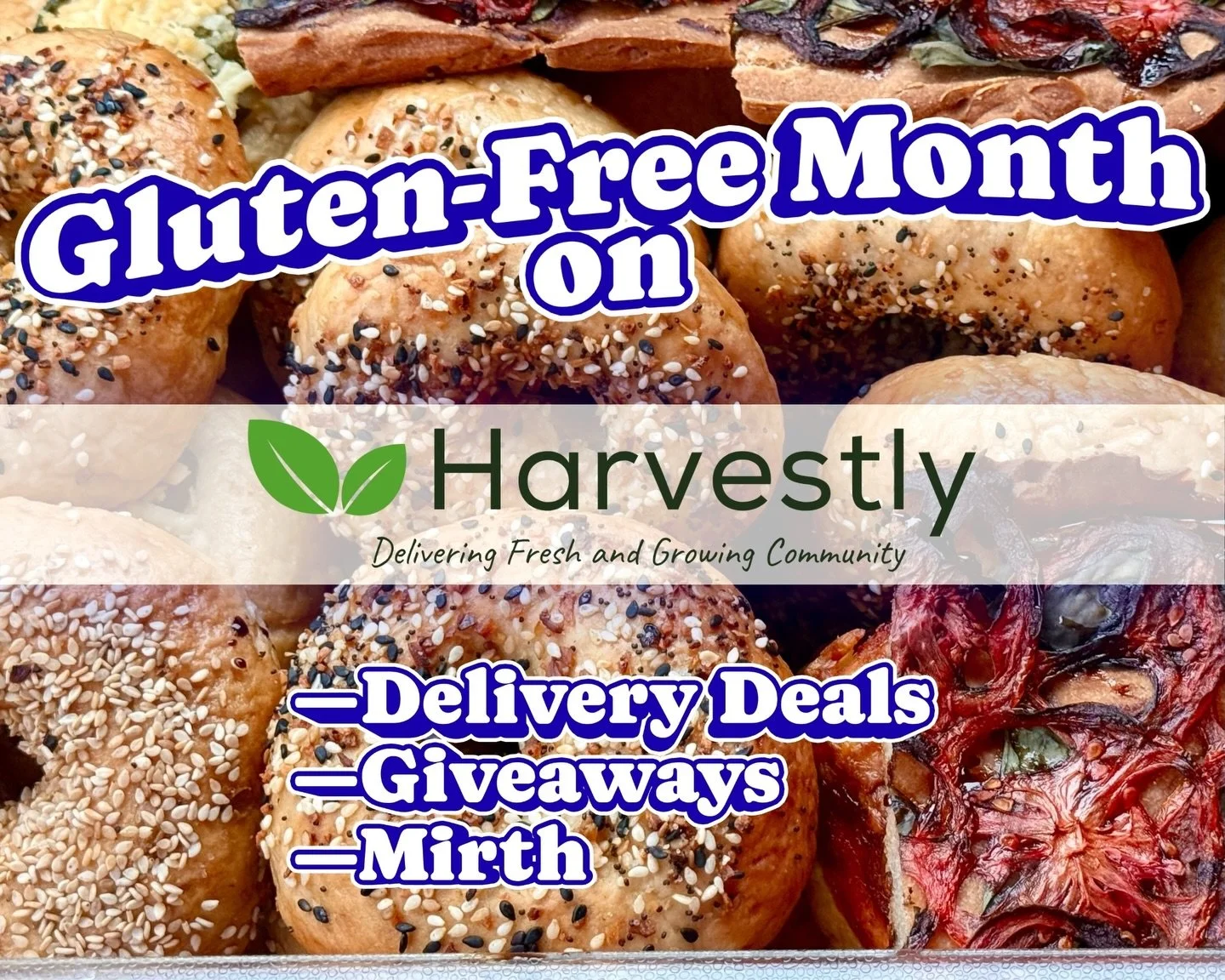 @harvestlymarket delivers the gf goods throughout SLO county and Santa Maria. But this month, they&rsquo;re going EXTRA gluten free-y, highlighting some of their favorite local products and brands. 

First up: this guy. (NB: I&rsquo;m pointing at mys
