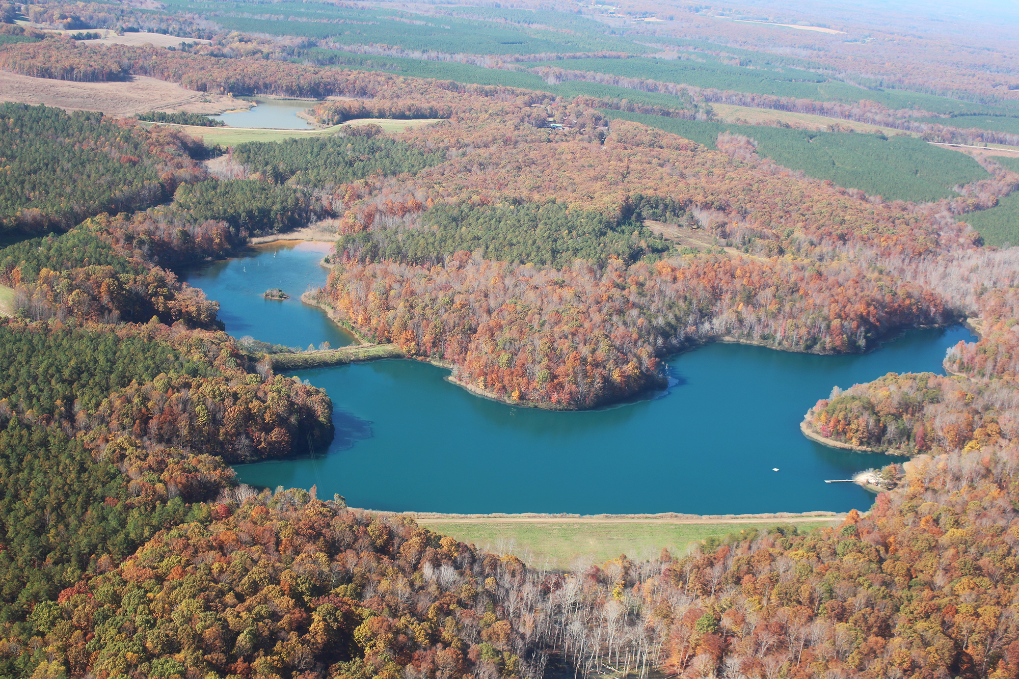 The Gieseke Plant Watershed Pond