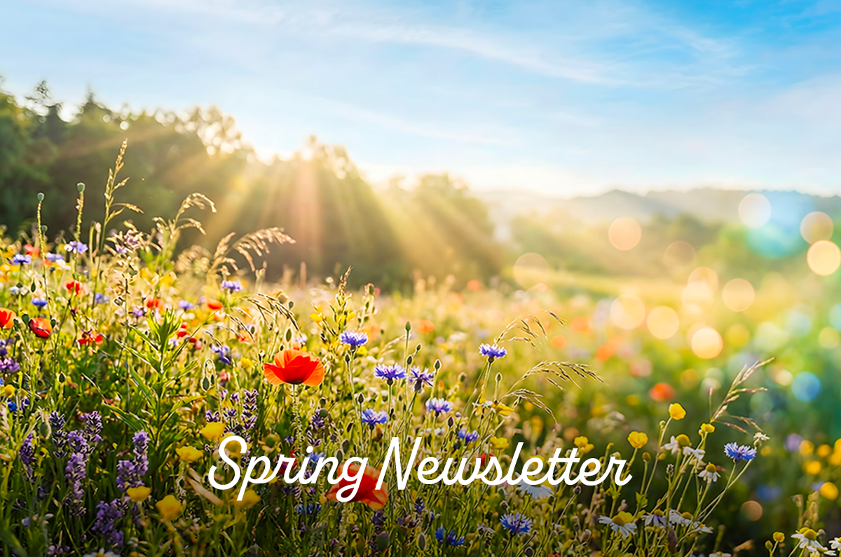 Spring 2026 Newsletter