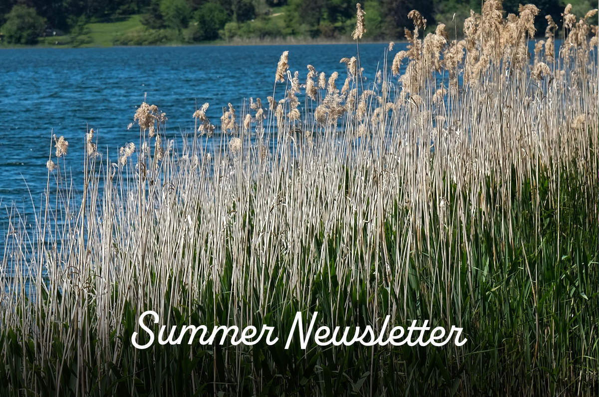 Welcome to the Summer Newsletter!
