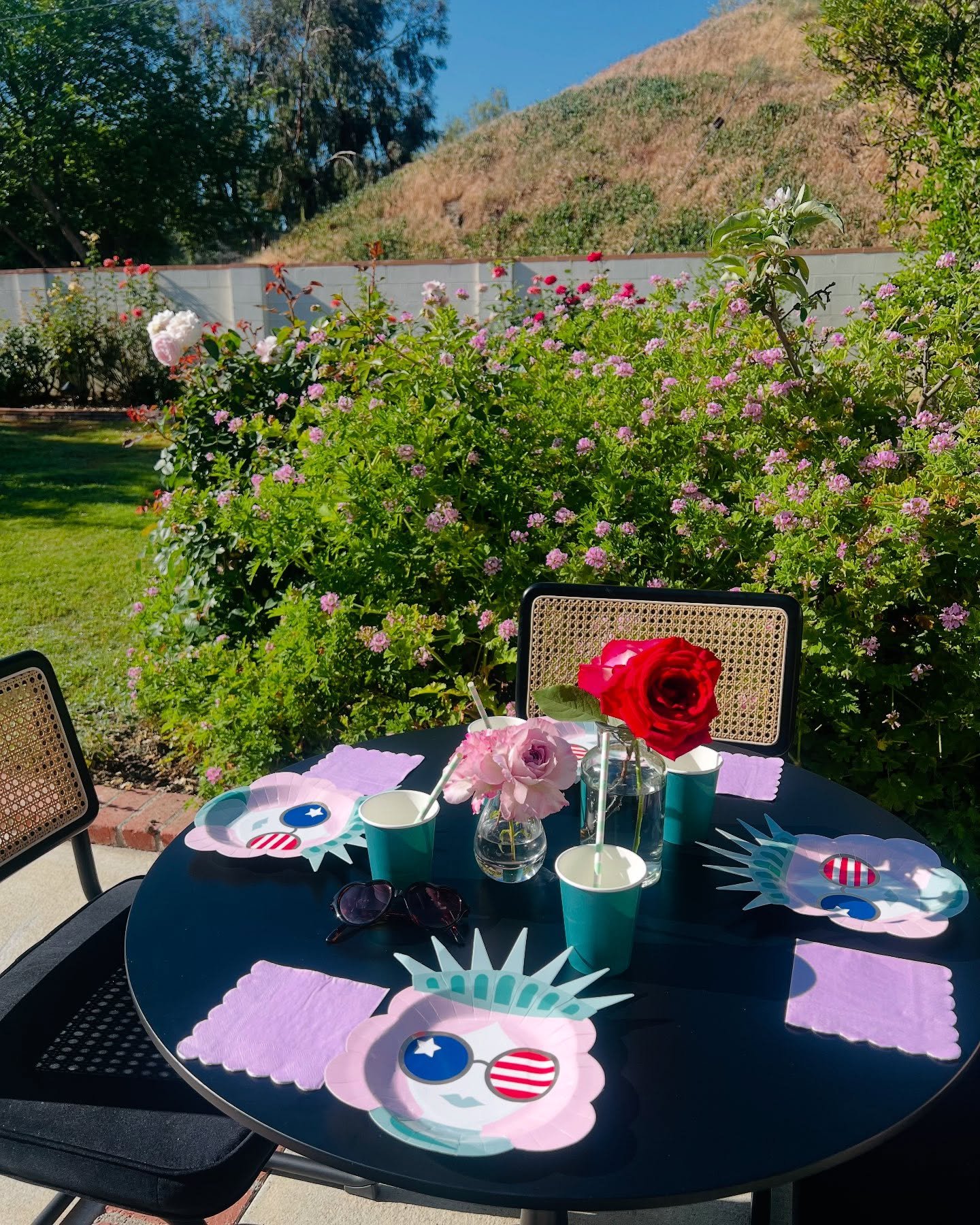 PATRIOTIC BUT NOT PREDICTABLE 🇺🇸💜🗽 

Why not give your July 4th set up an unexpected twist this year? Throw a 4th color in with your red, white, and blue (like lavender or teal) and these adorable plates remind us what this day is really about, &