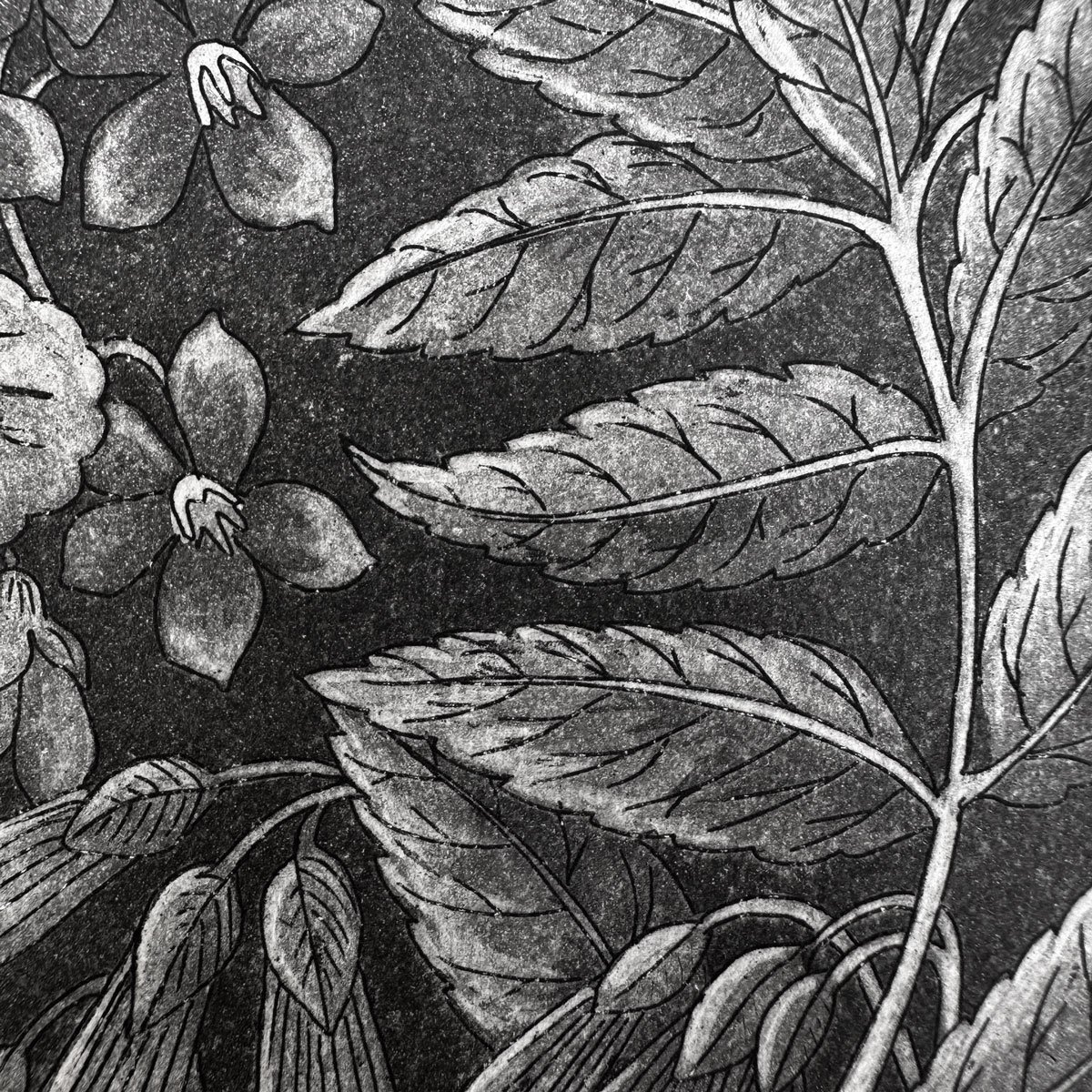 GardeningGloves_Crop1x1c.jpg