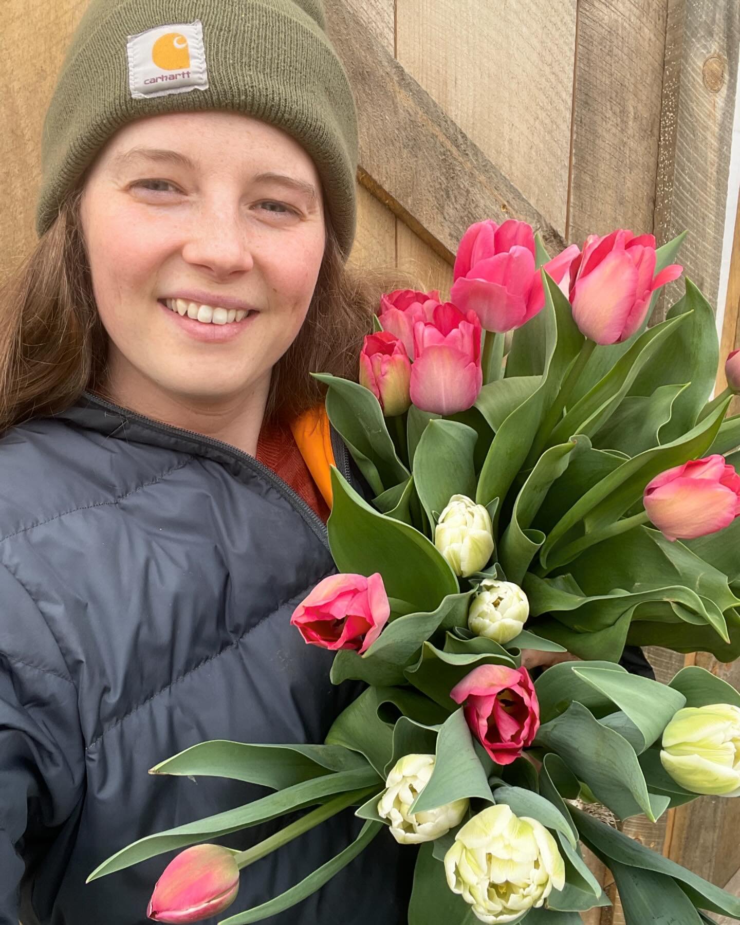The first arm load of flowers in the second week of April! I&rsquo;ll take it 🤩🌷 I planted tulips all over the farm in hopes of staggering the bloom time. These are just the beginning!