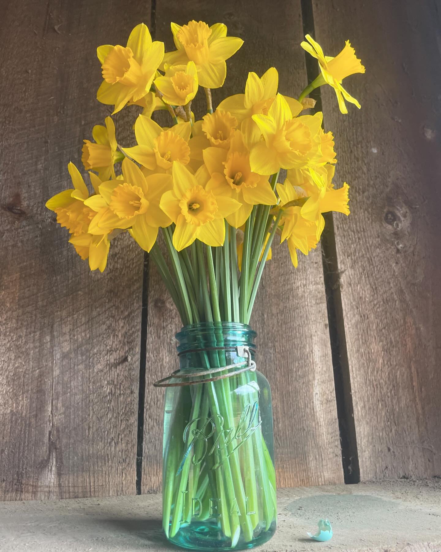 It&rsquo;s the last day to sign up for our Spring Flowers and Season Pass CSA! Visit gladfarmvt.com to purchase. Pick up starts on Friday. The stand will be open this Friday, Saturday &amp; Sunday 🪺