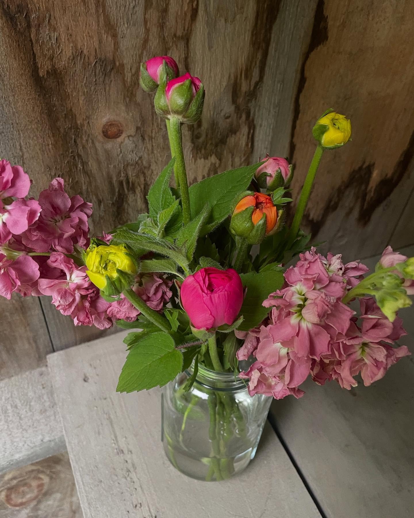 Flowers to brighten up this rainy weekend. As soon as the sun comes out, so many more will be blooming!