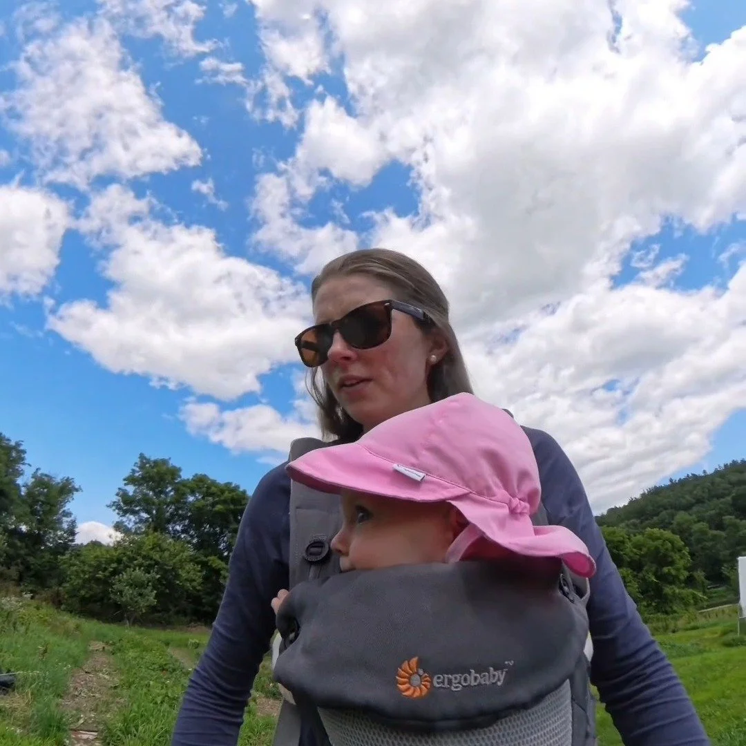 August 1 walkthrough on the farm