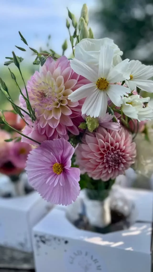 Every love story deserves flowers this pretty ๐๐ธ
Vermont grown dahlias, lisianthus, and cupcake cosmos made this bridal bouquet and wedding party bouquets extra special. Congratulations to S & L! ๐ฅ