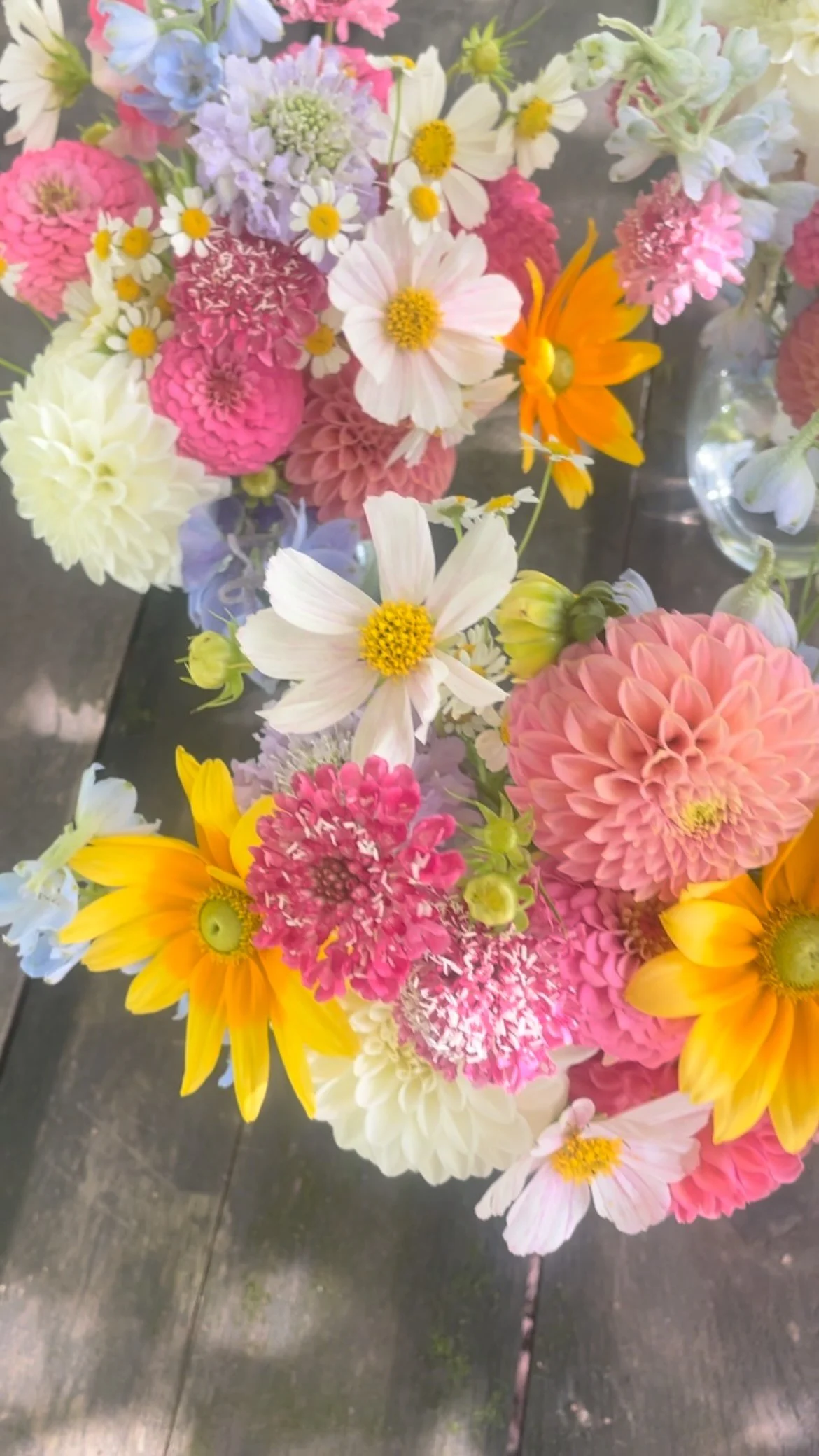Fun, colorful florals for T & E ๐ธ
