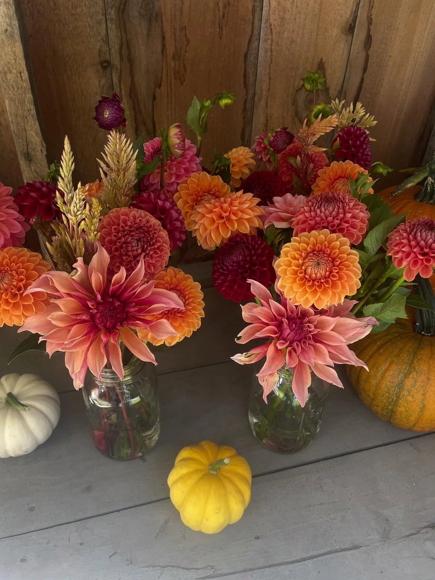 From field to stand this morning. It&rsquo;s a great day for fresh flowers 🍁
