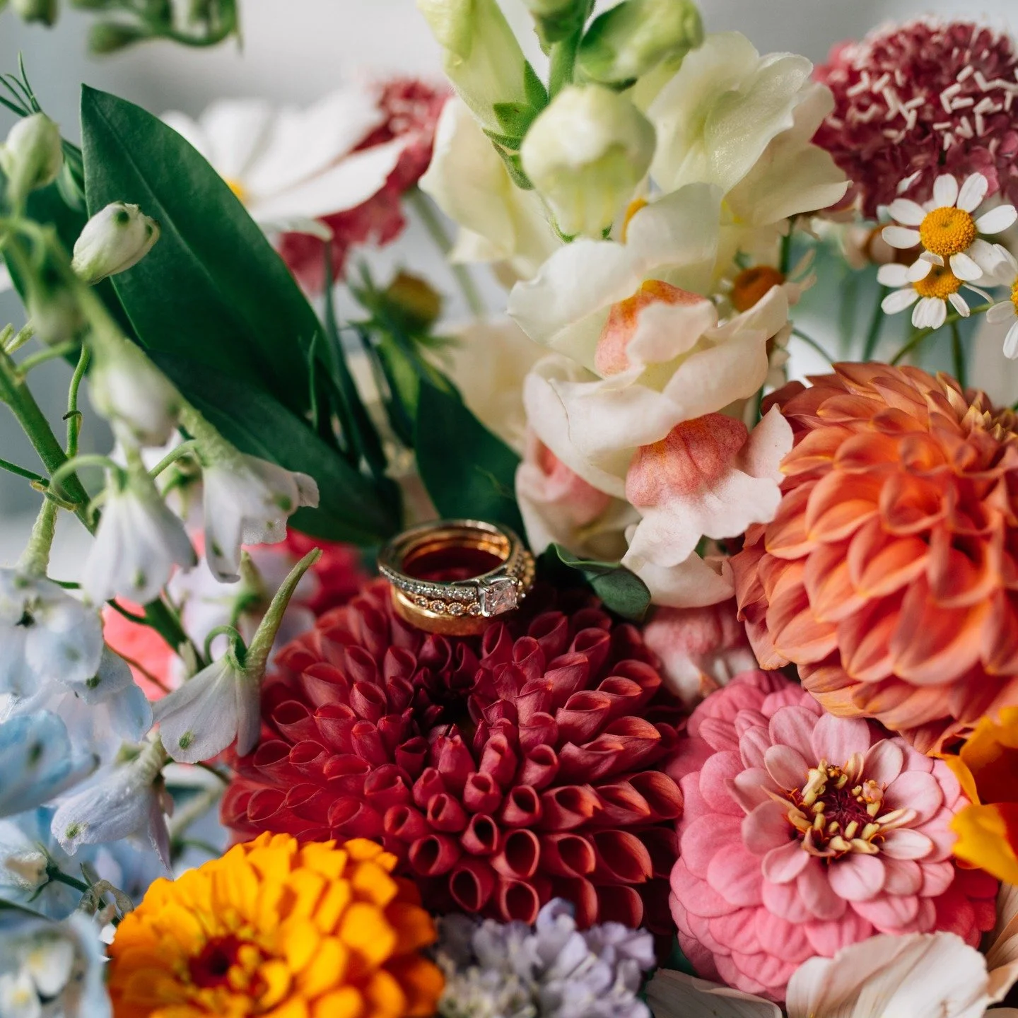 A late August wedding full of color, and so much love! 

Venue: @lareaufarminn 
Photographer: @whiskyspice 
Florals: @gladfarmvt