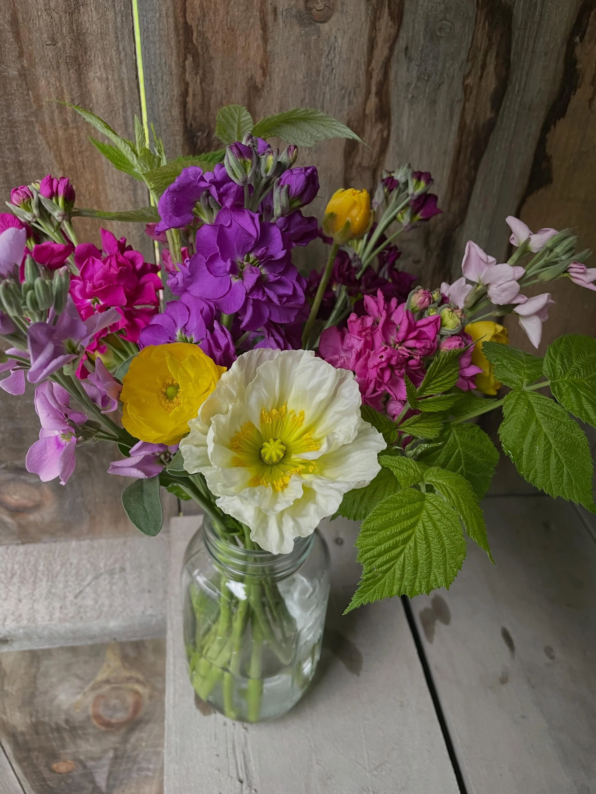 Highly recommend a trip to the flower stand. I&rsquo;ve harvested and put out fresh flowers this morning. The stock will fill your space with the sweetest fragrance 🌸