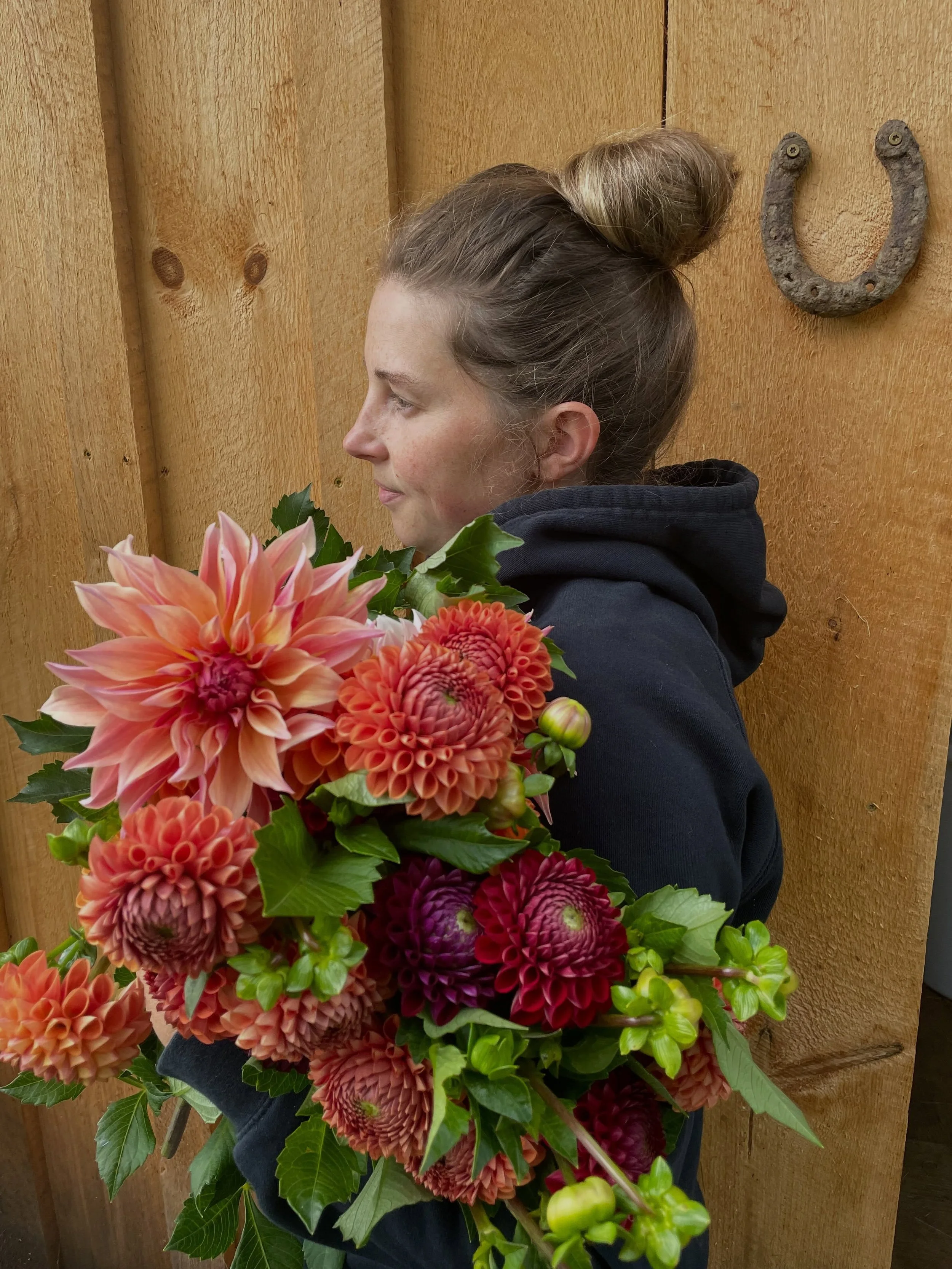 It&rsquo;s dahlia time! Until the frost, we will be harvesting dahlias daily for the farm stand, our CSA, and 7 more wedding celebrations!
