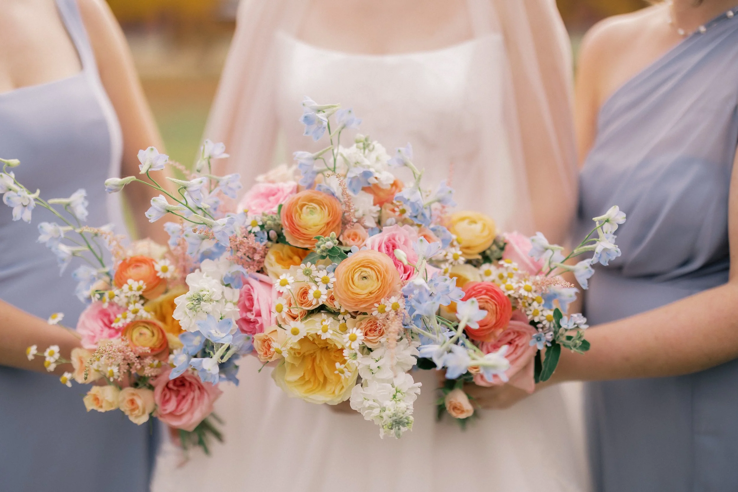 Lily Pond Photography