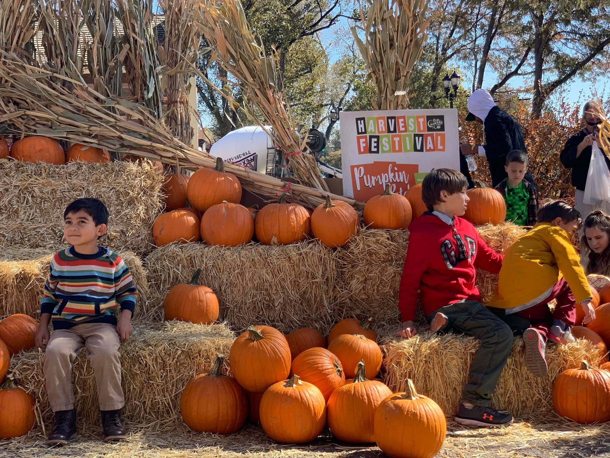 harvest Fest - pumpkin patch FB 2019.jpg