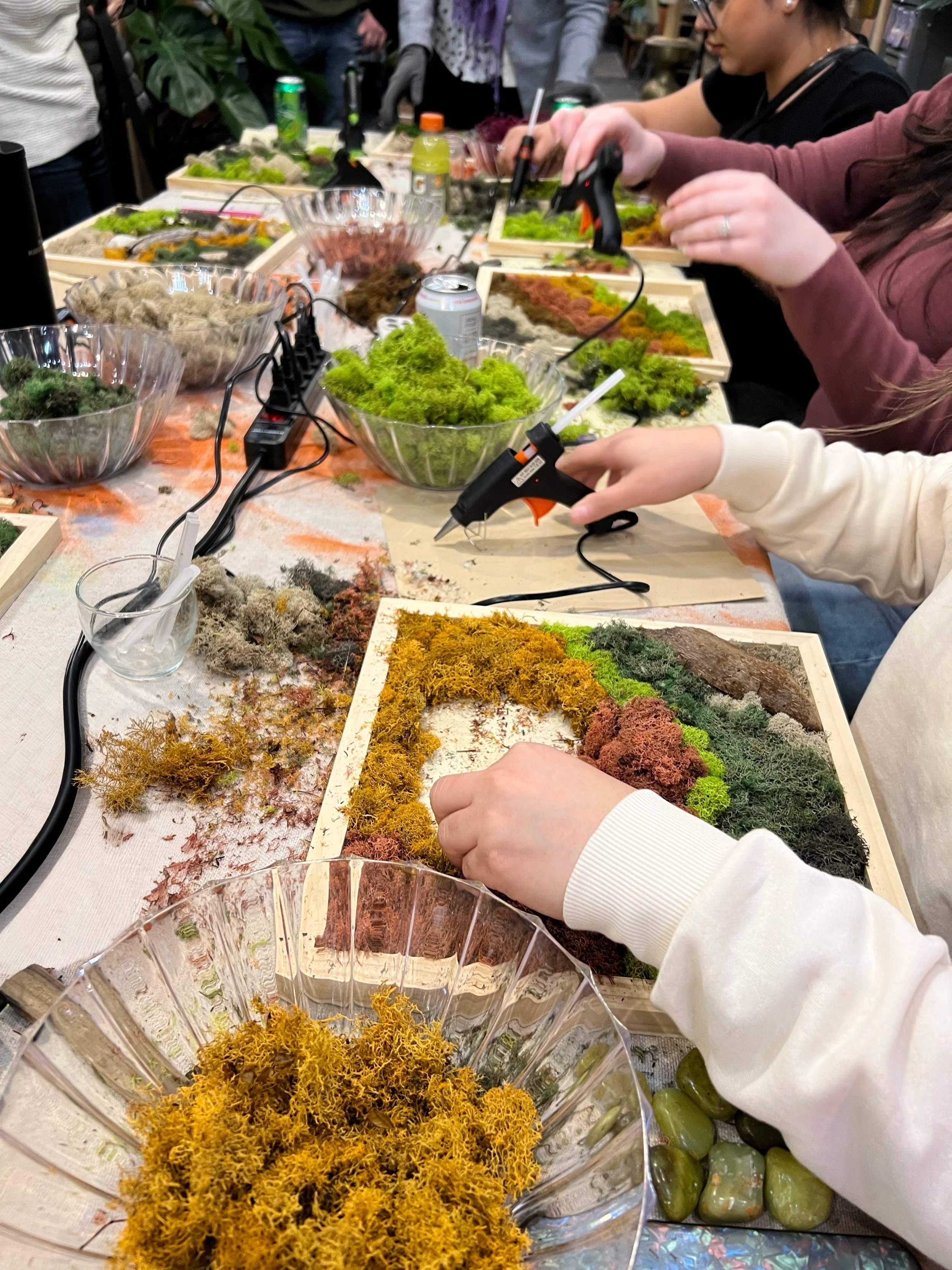 Hapke's Hortum: Moss Frame Workshop