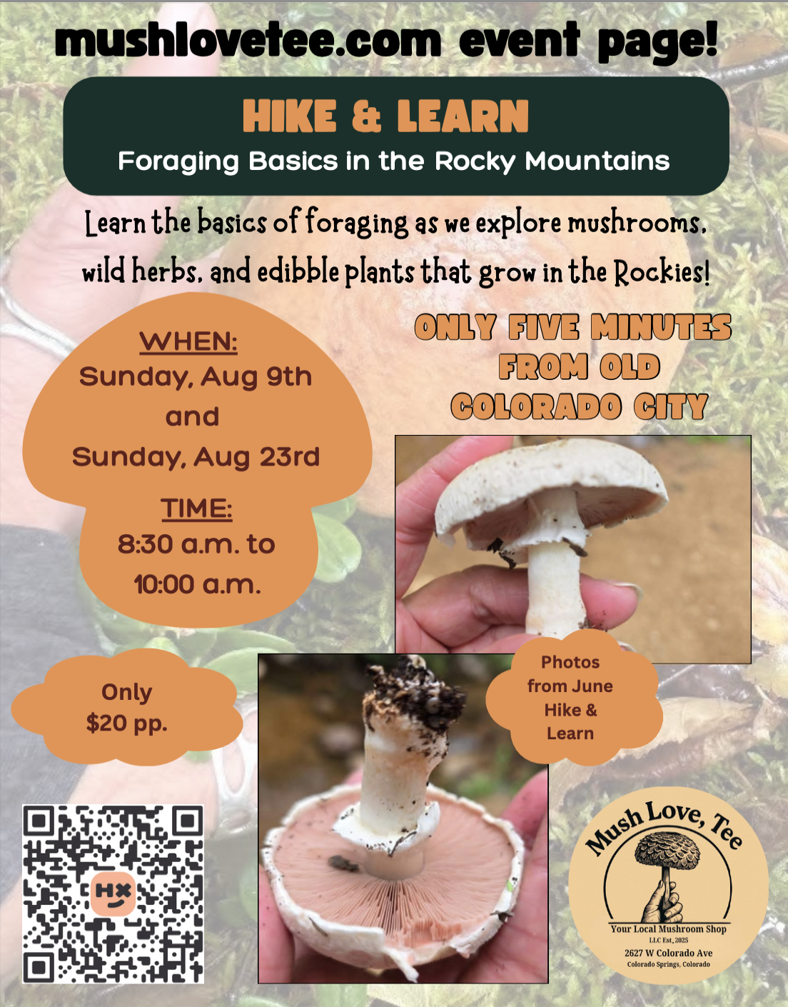 Hike & Learn - Learn the Basics of Foraging in the Rockies at Old Colorado City - outdoors event in Colorado Springs on August 23, 2026