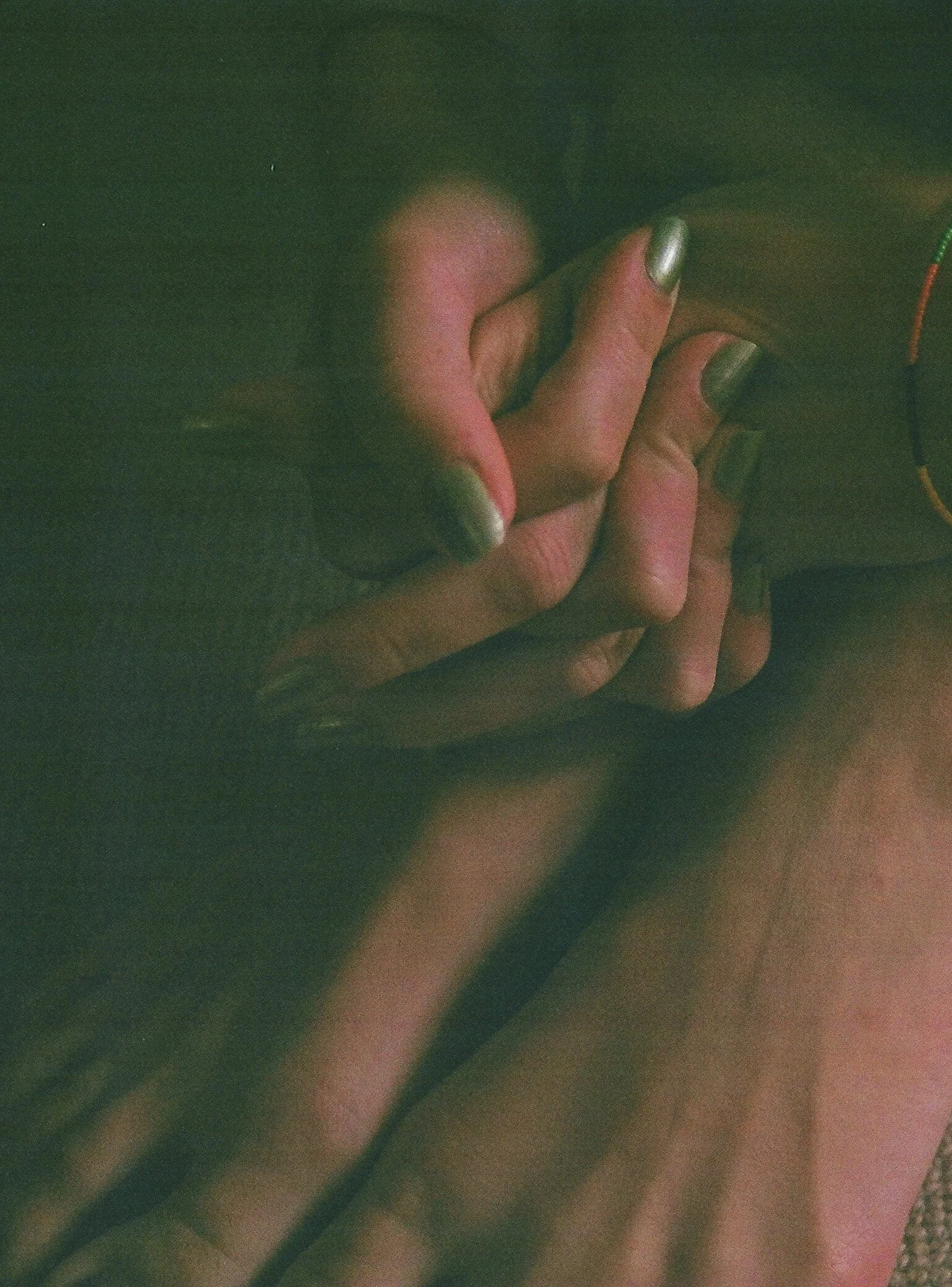 54030031.jpg