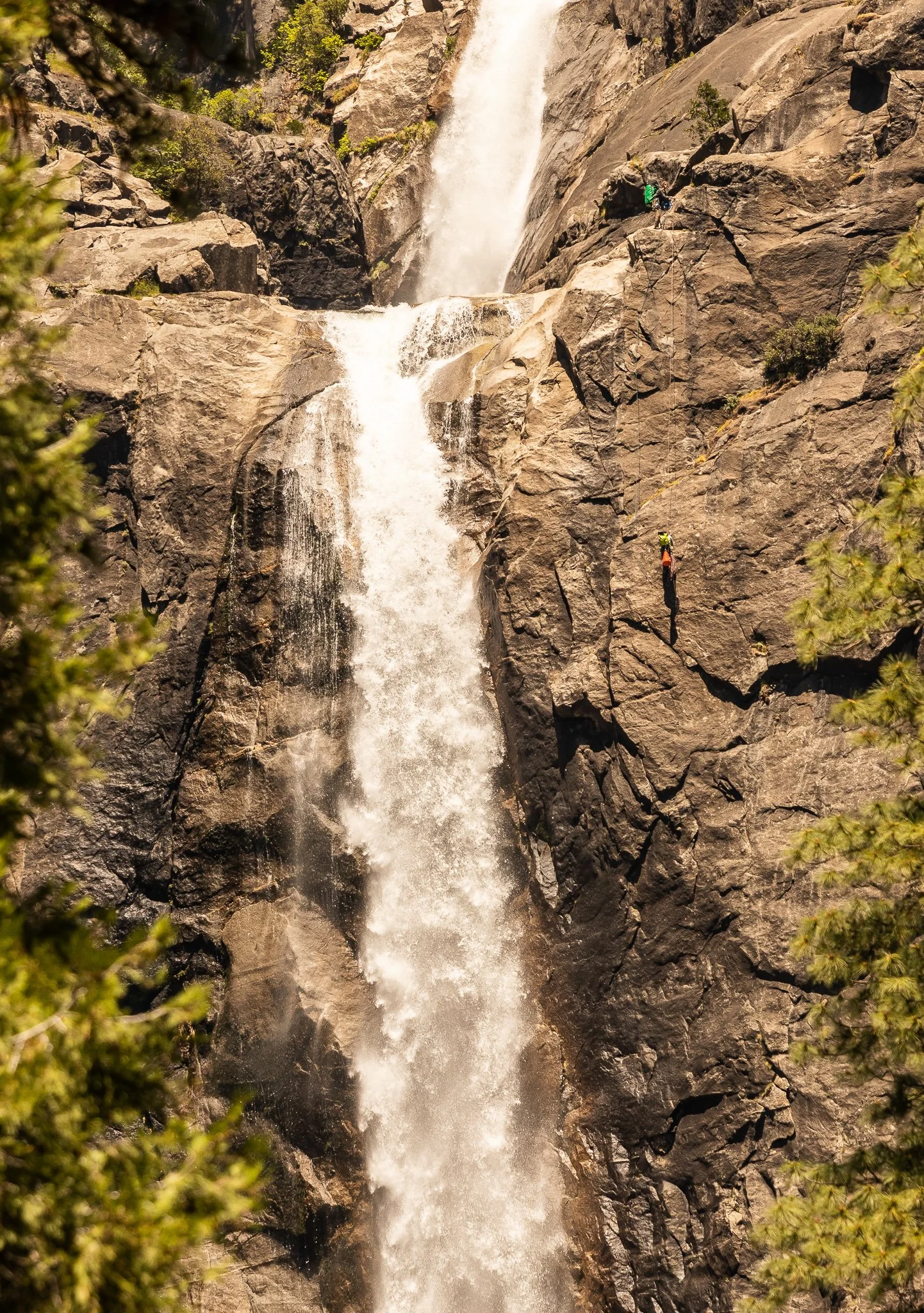 _MG_9937.jpg