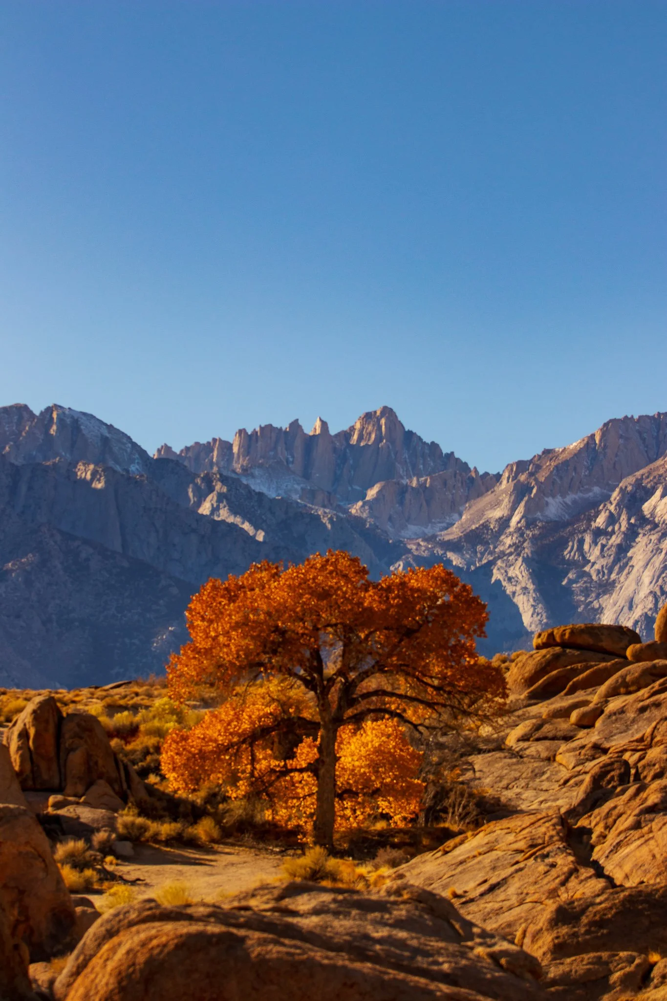 _MG_0187.jpg