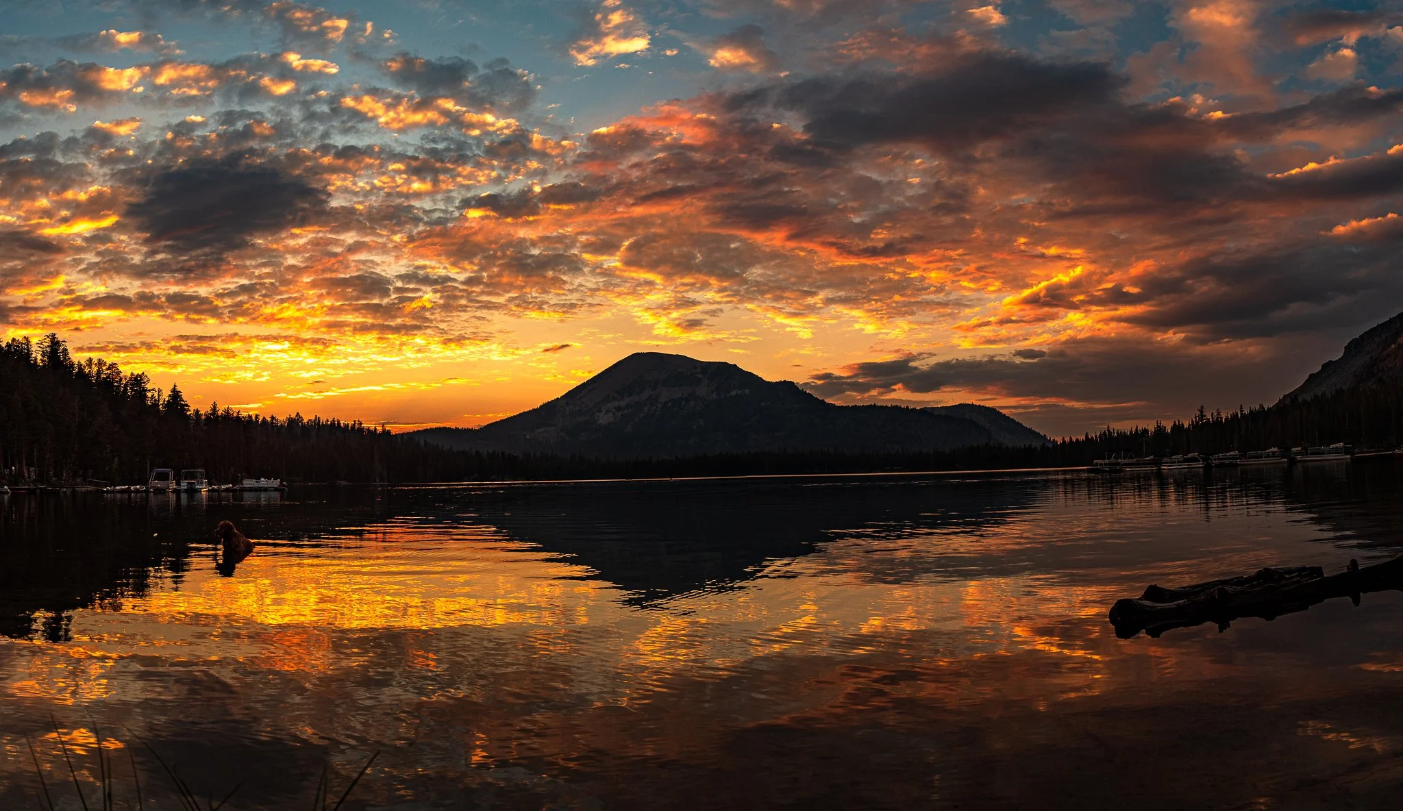 _04A3992-Pano-2.jpg